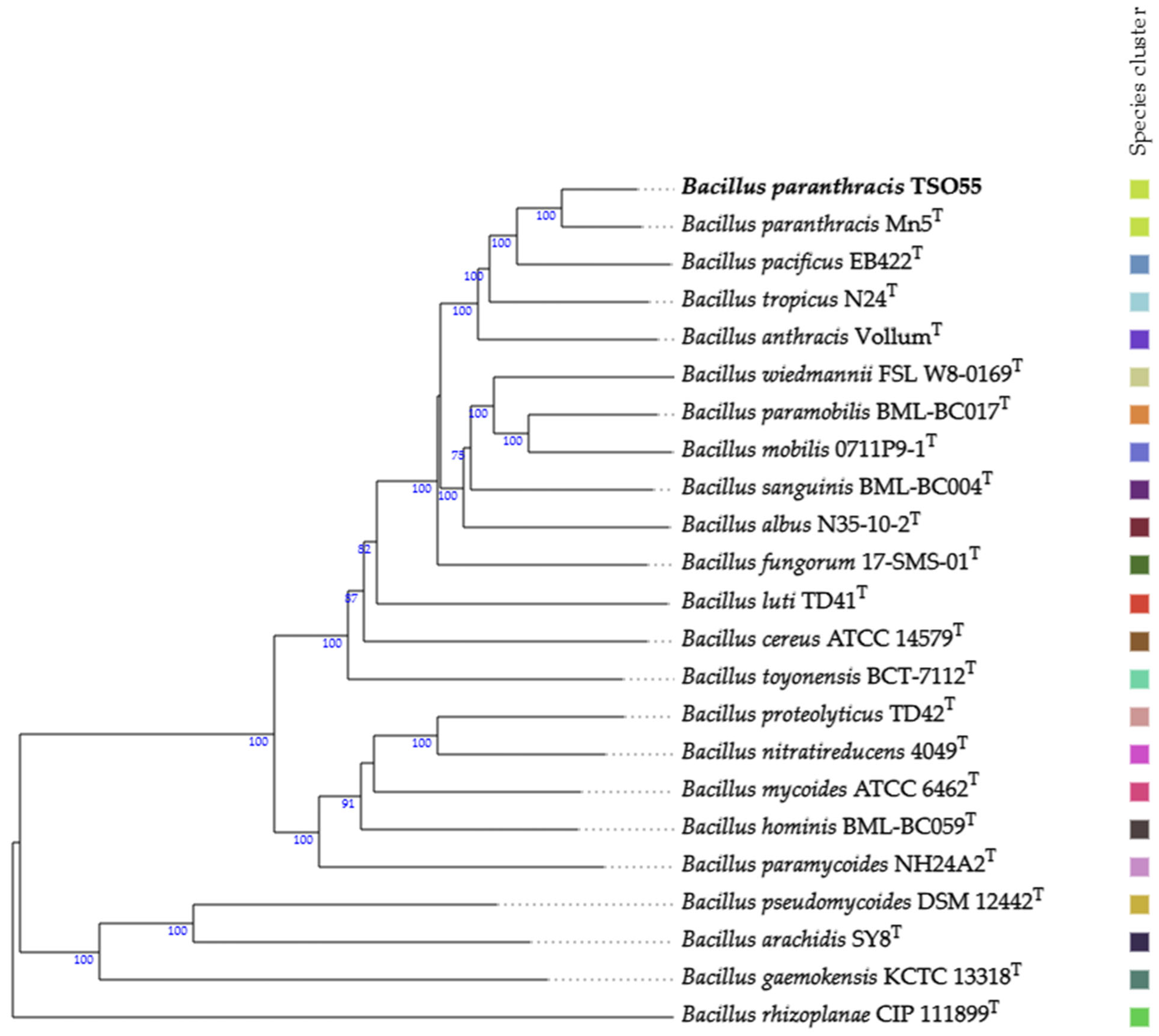 Plants 14 01019 g002