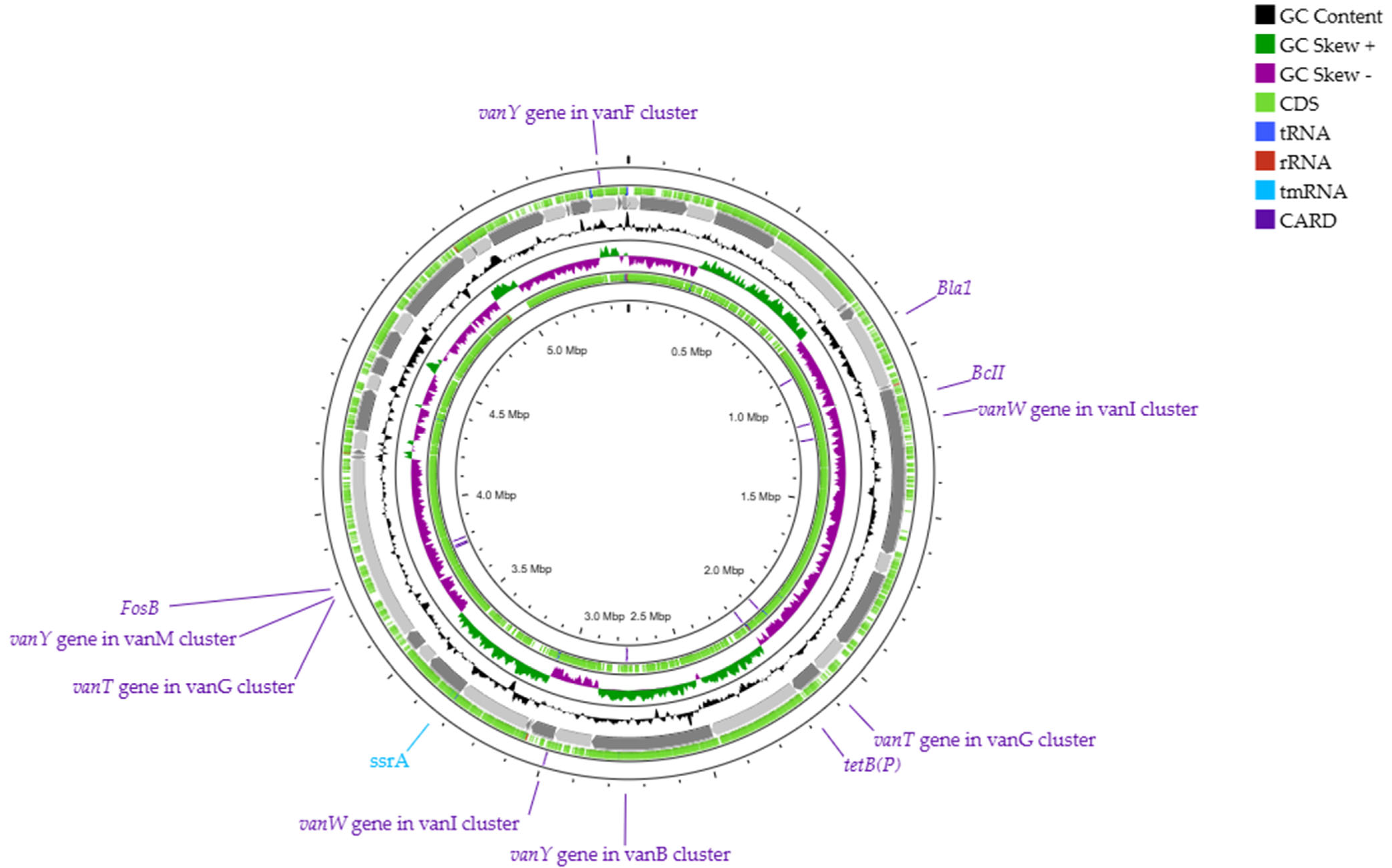 Plants 14 01019 g004