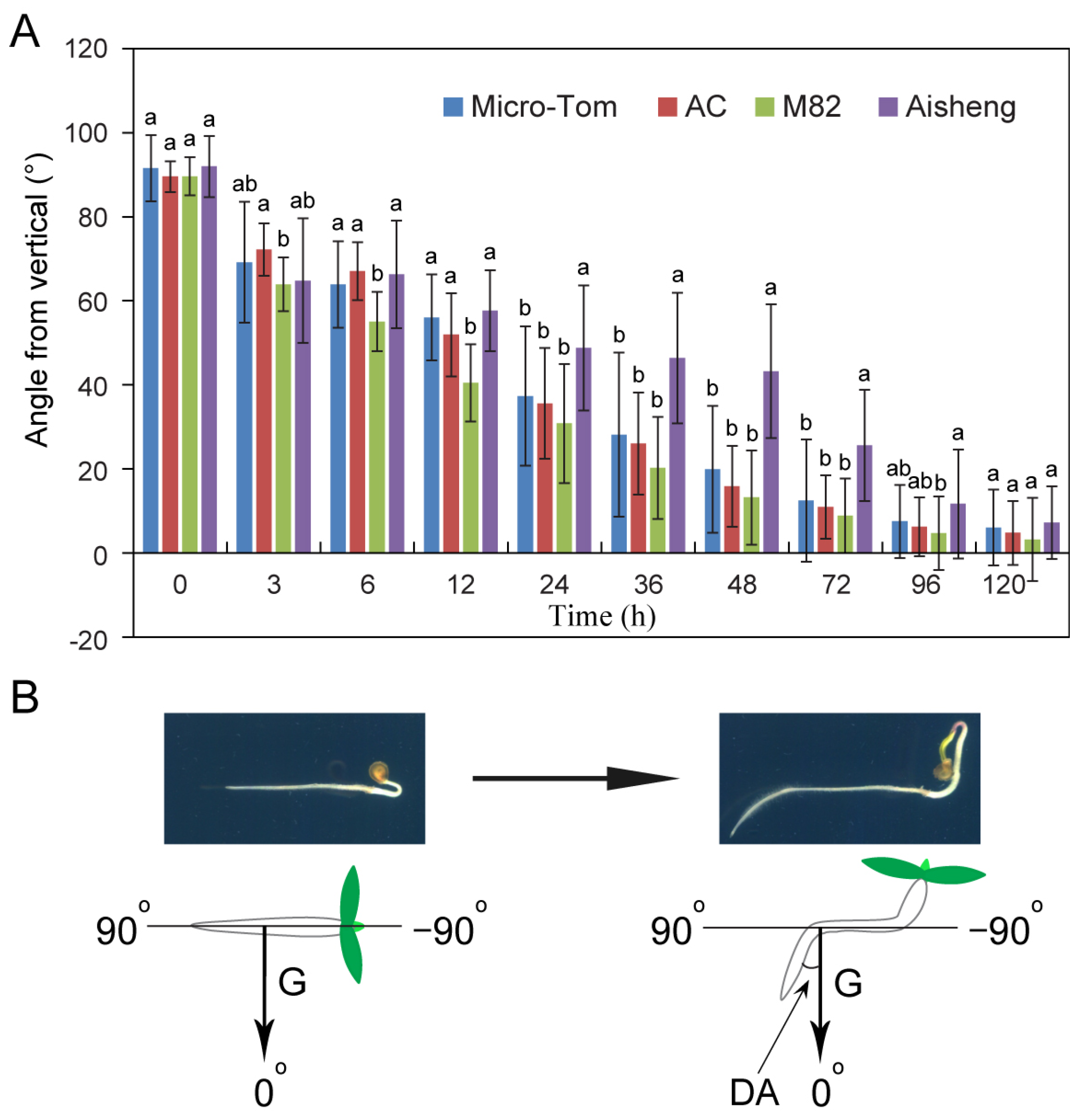 Plants 14 01020 g001