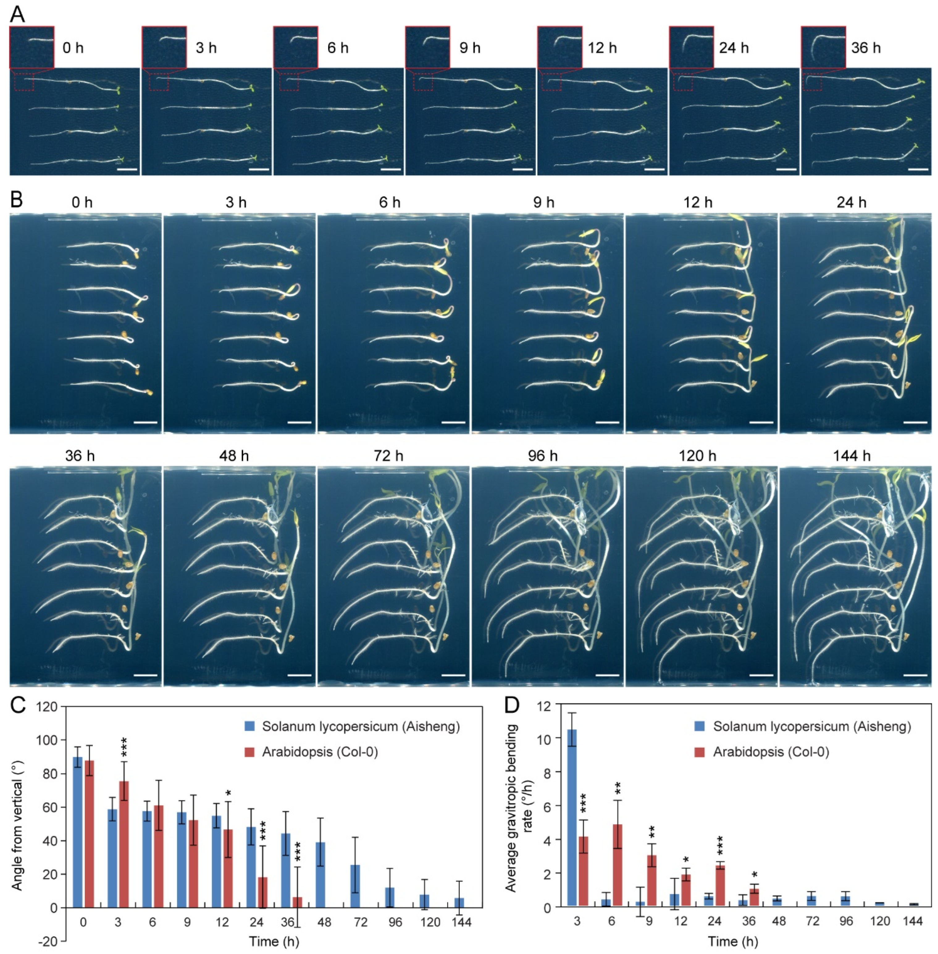 Plants 14 01020 g002