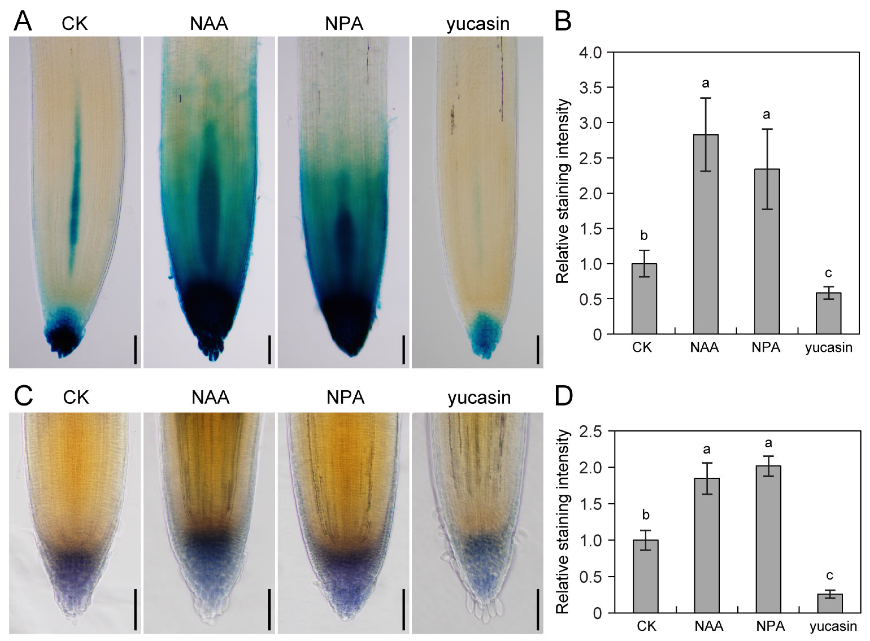 Plants 14 01020 g005