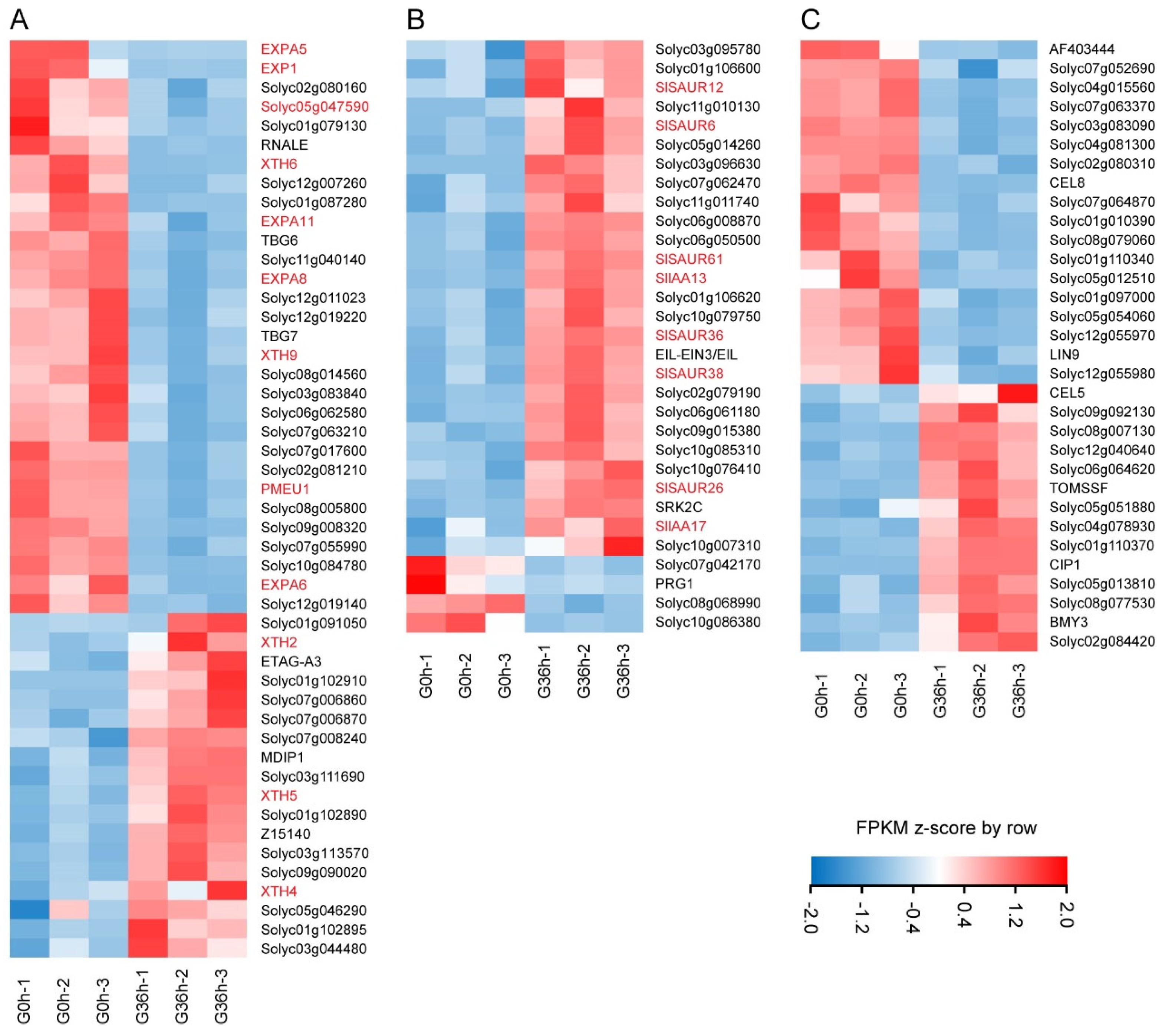Plants 14 01020 g008