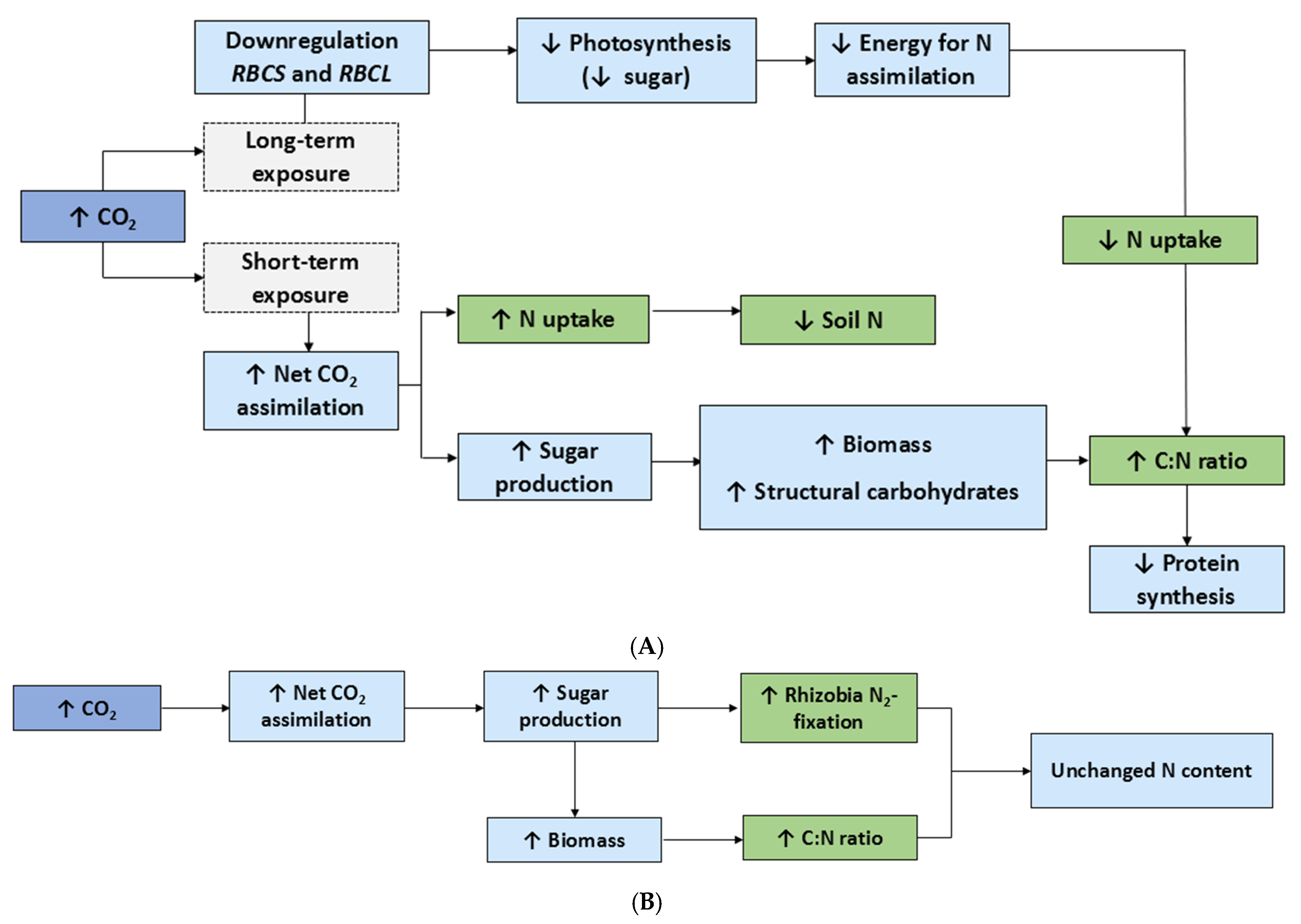 Plants 14 01025 g001