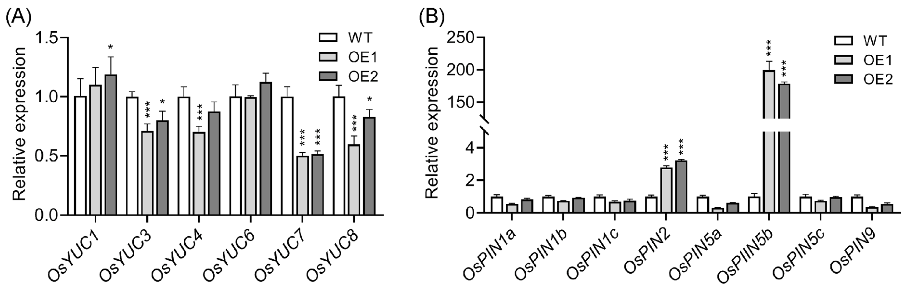 Plants 14 01026 g002