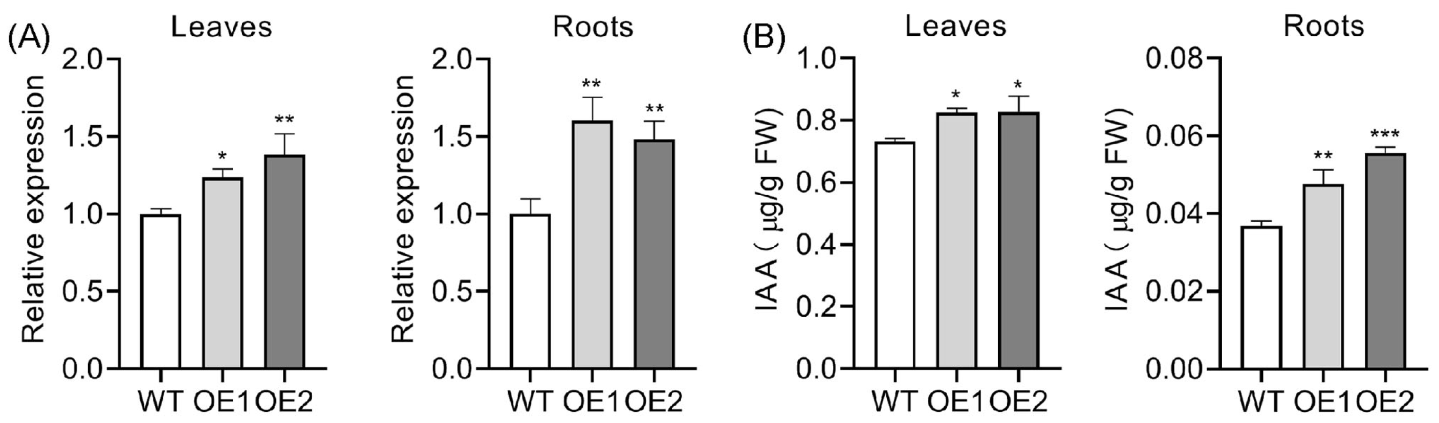 Plants 14 01026 g003