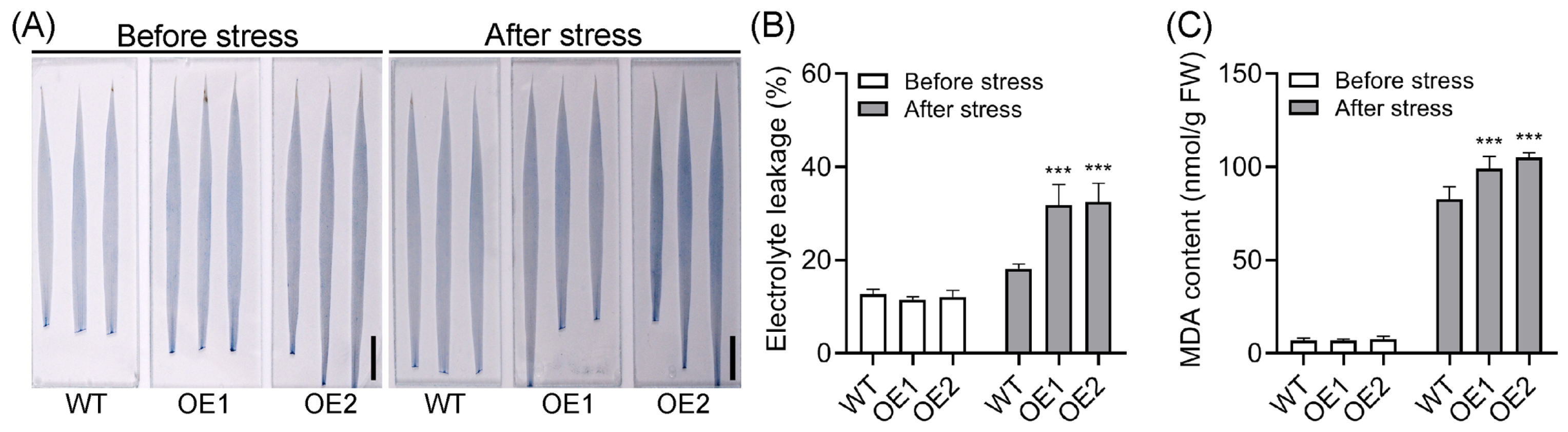 Plants 14 01026 g005