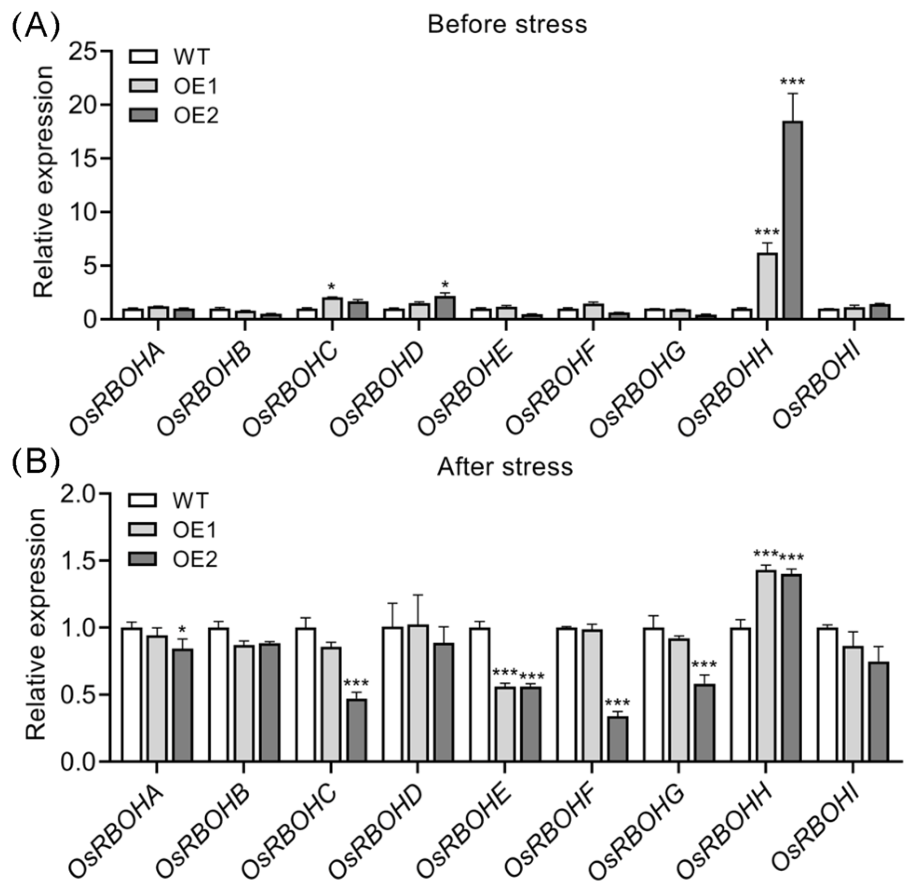 Plants 14 01026 g008