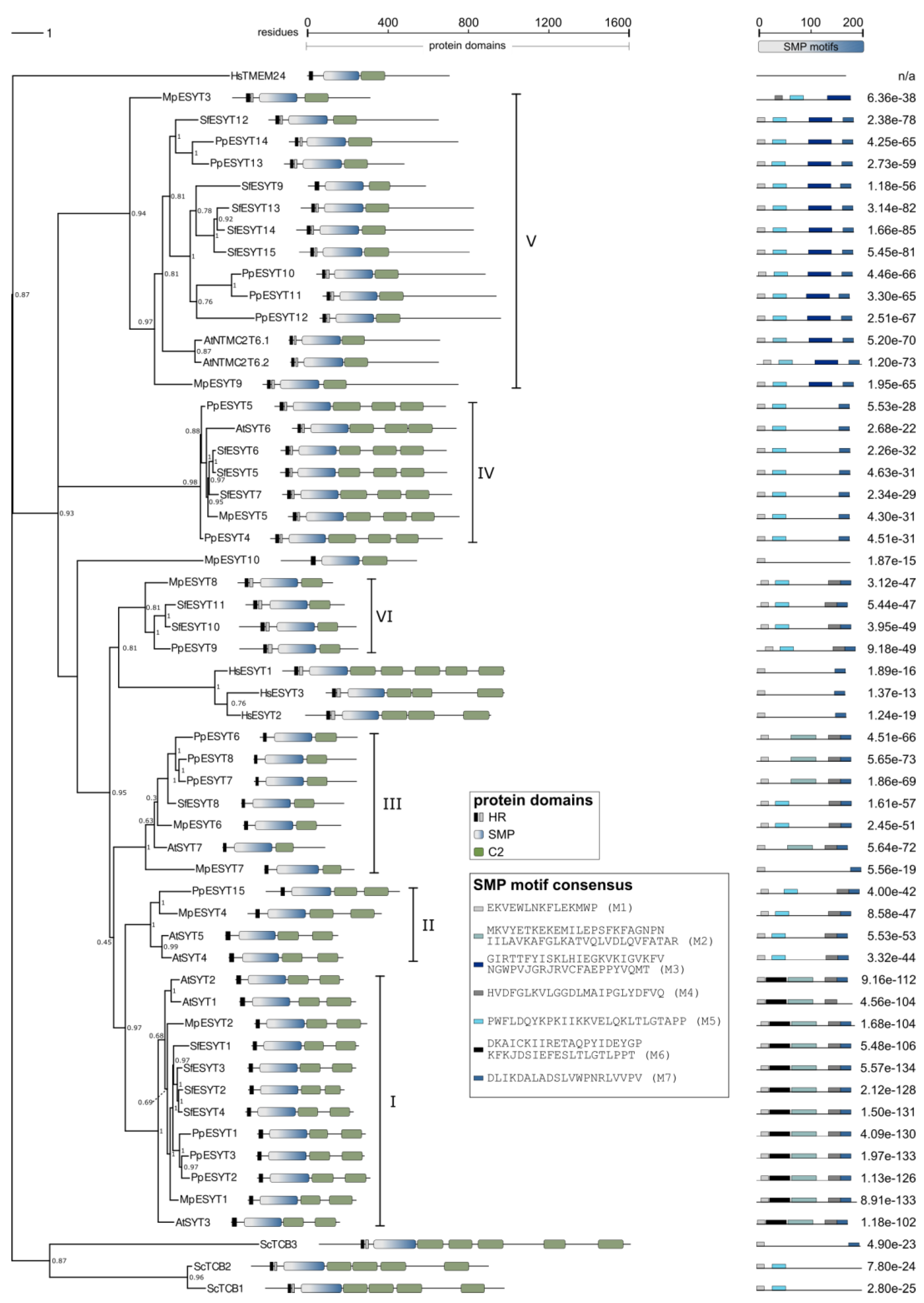 Plants 14 01027 g003