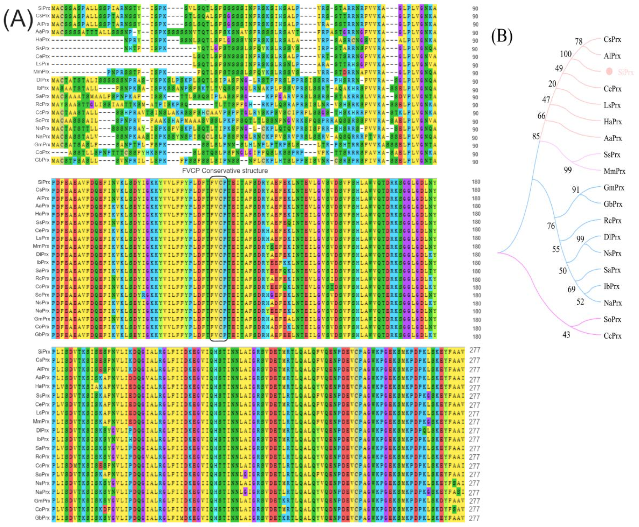 Plants 14 01030 g001