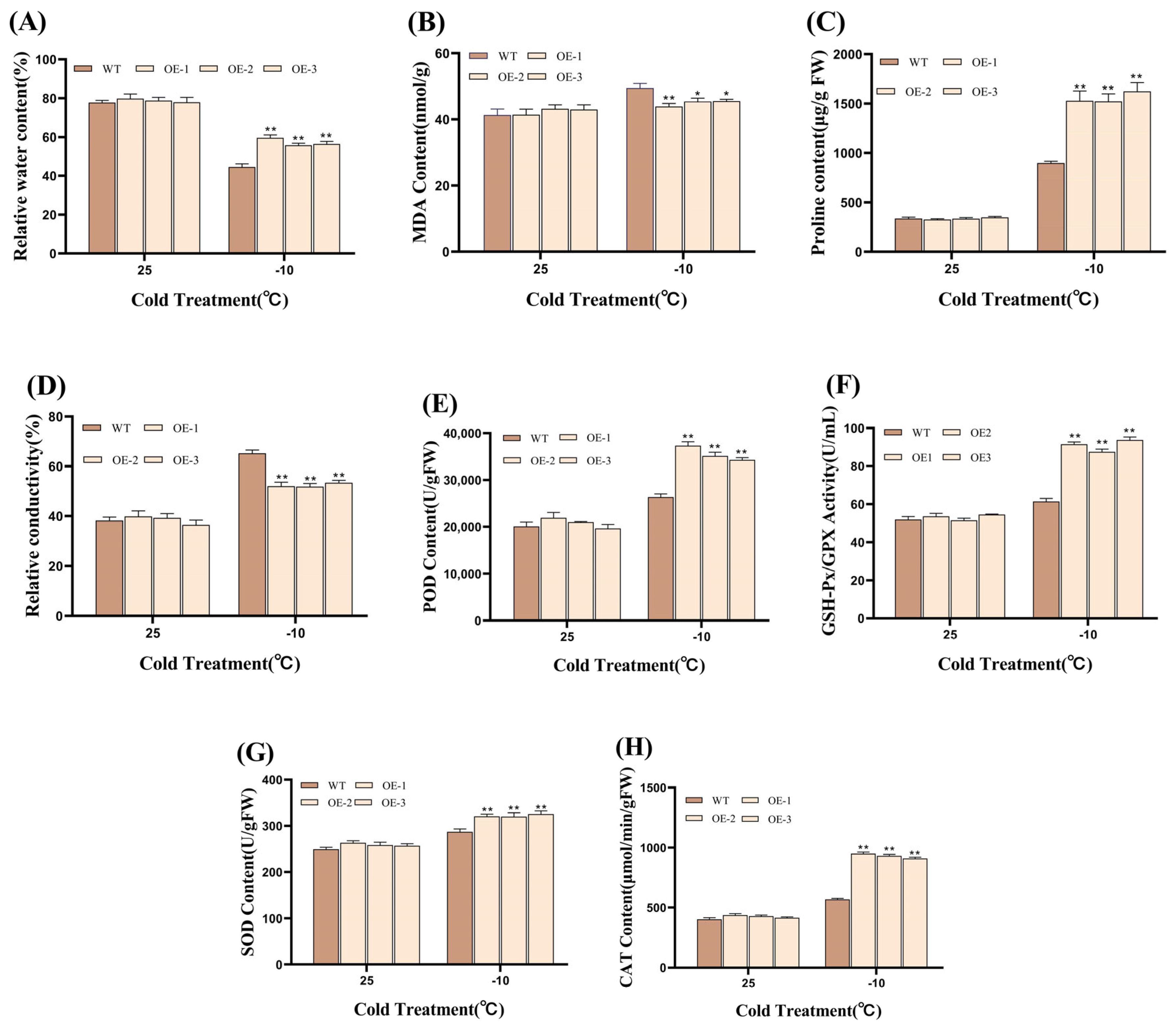 Plants 14 01030 g006
