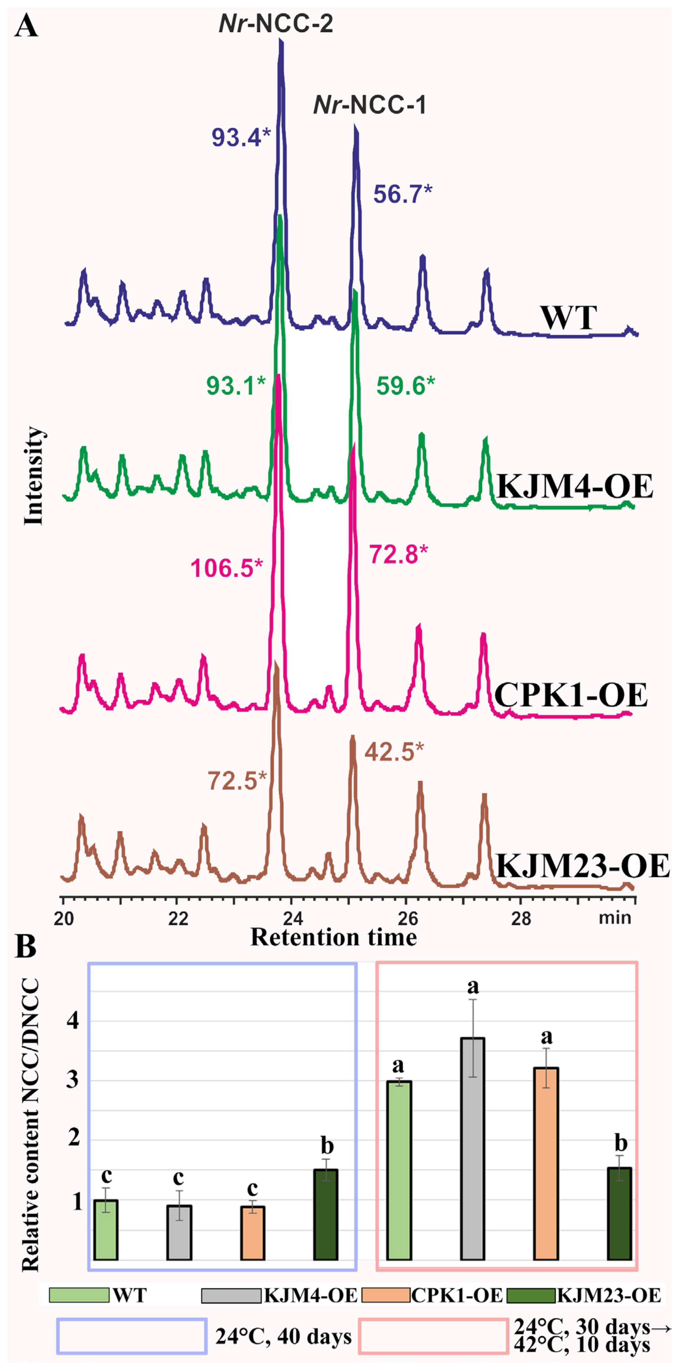 Plants 14 01032 g002