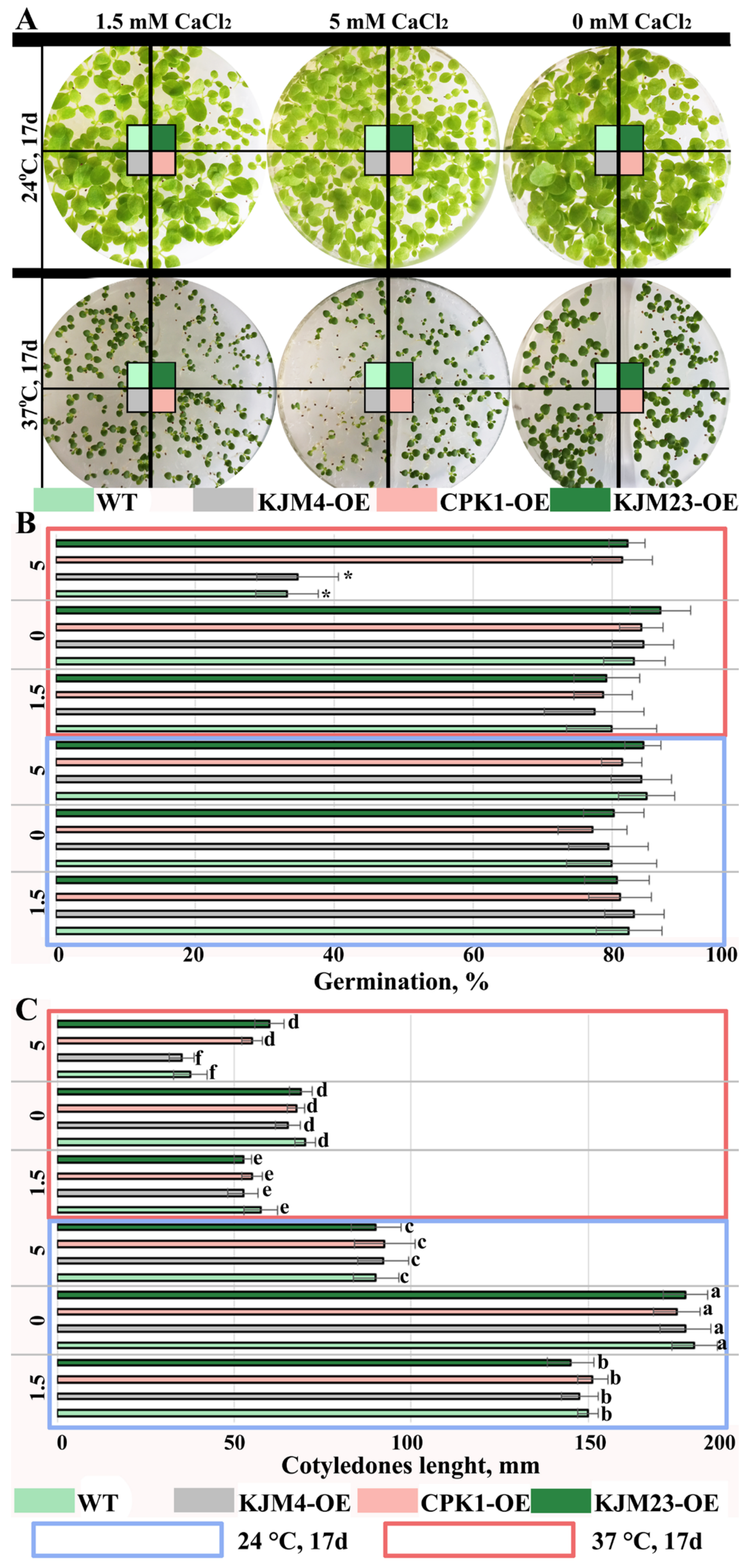 Plants 14 01032 g004