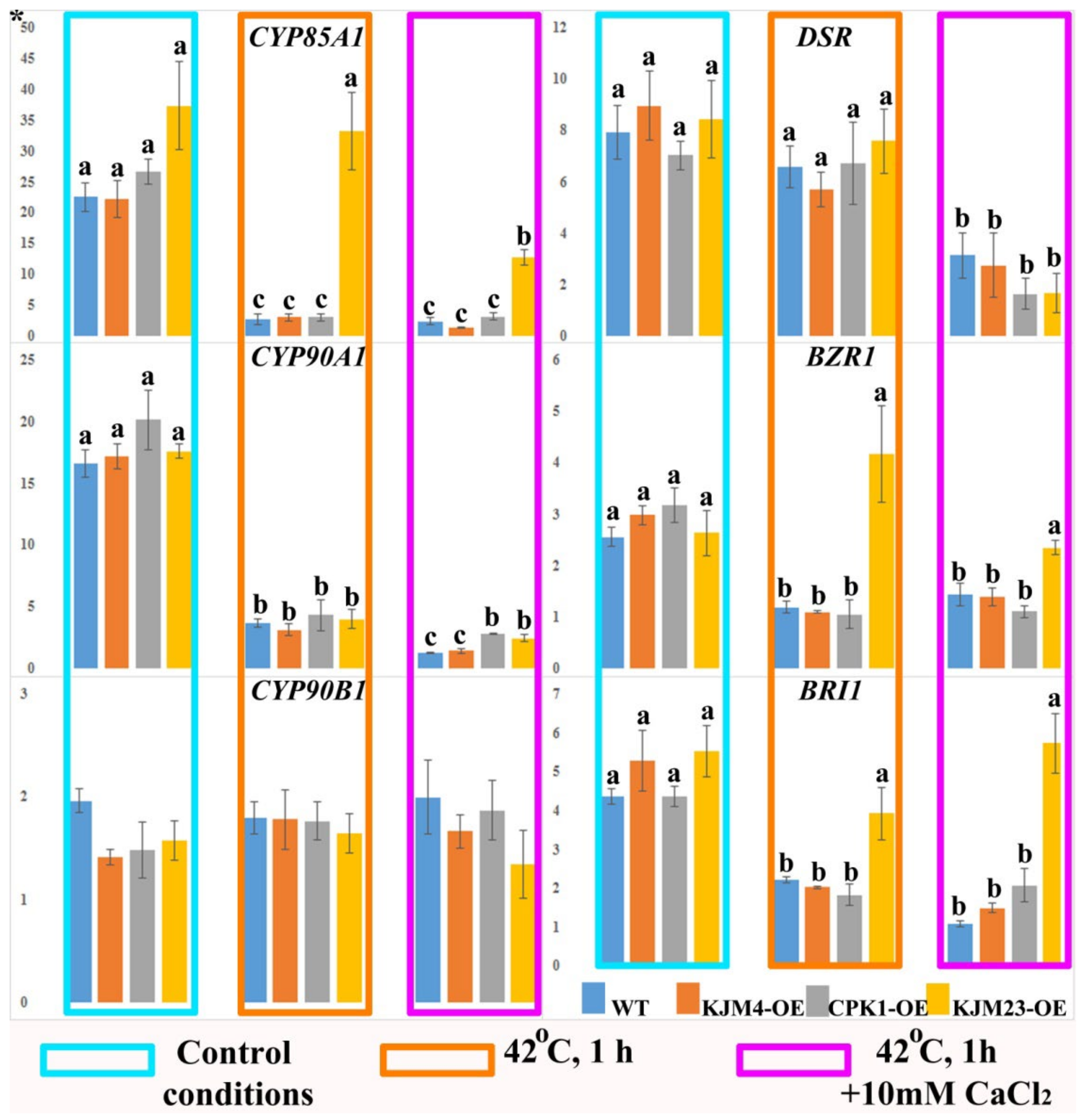 Plants 14 01032 g005