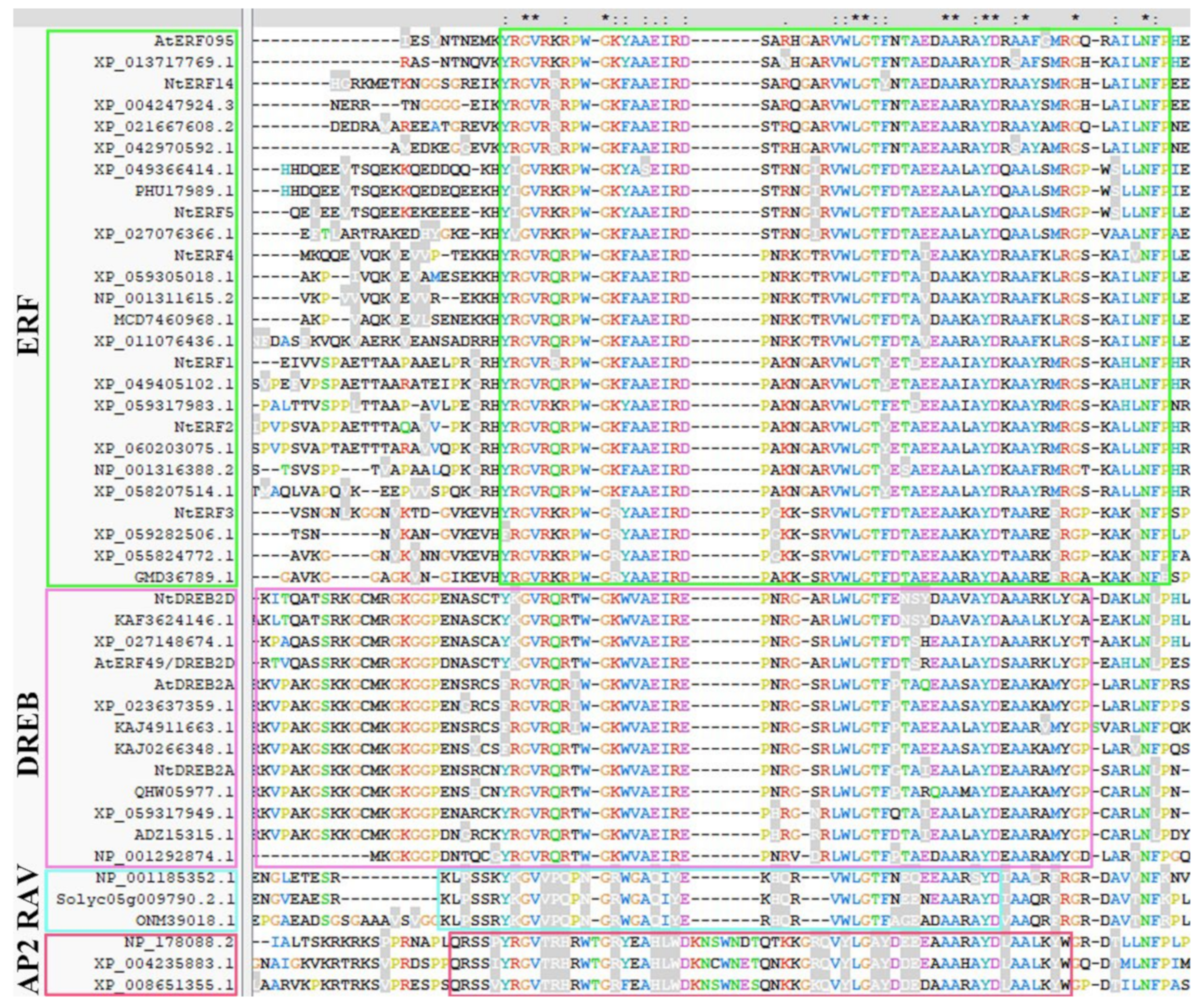 Plants 14 01032 g006