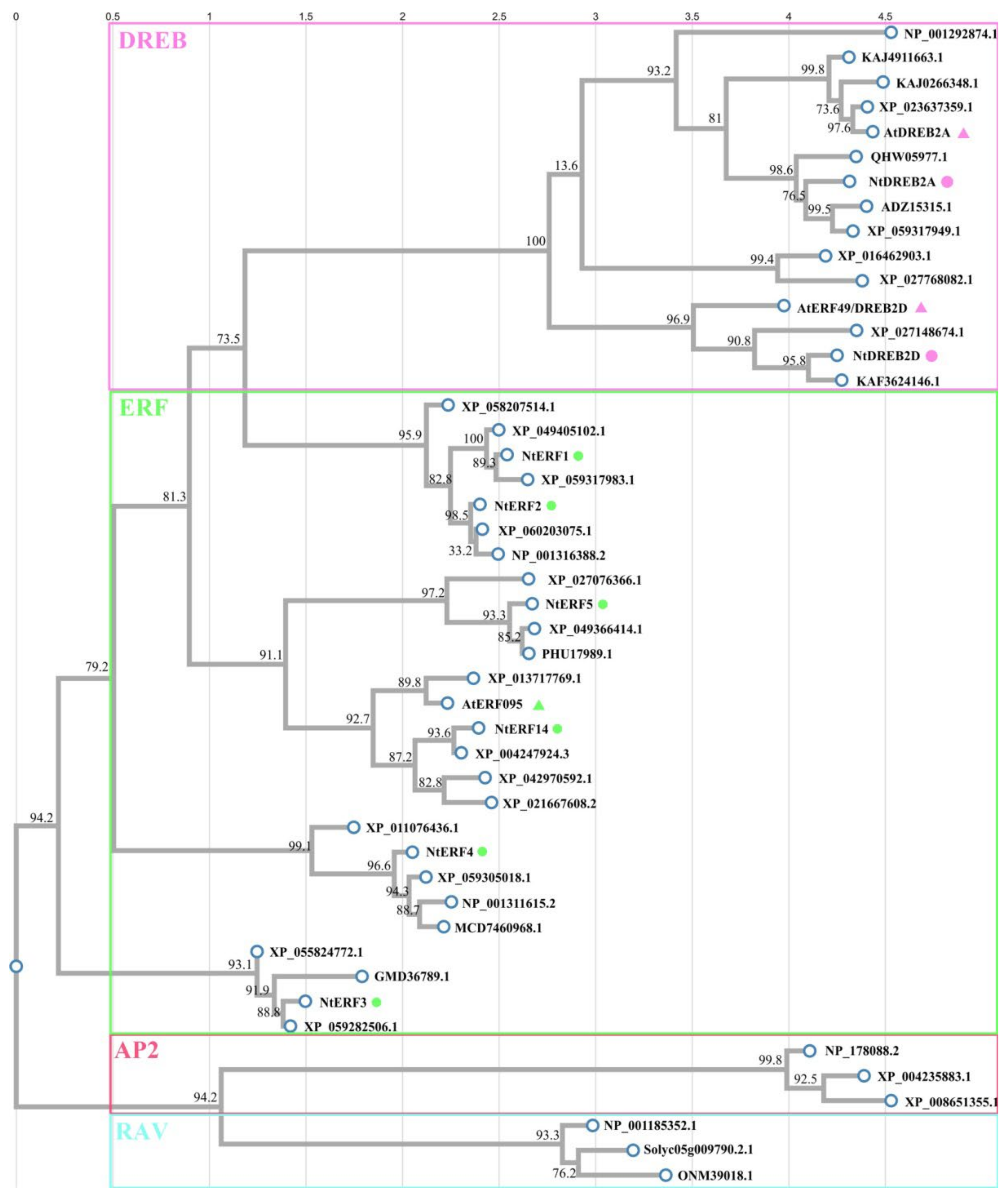 Plants 14 01032 g007