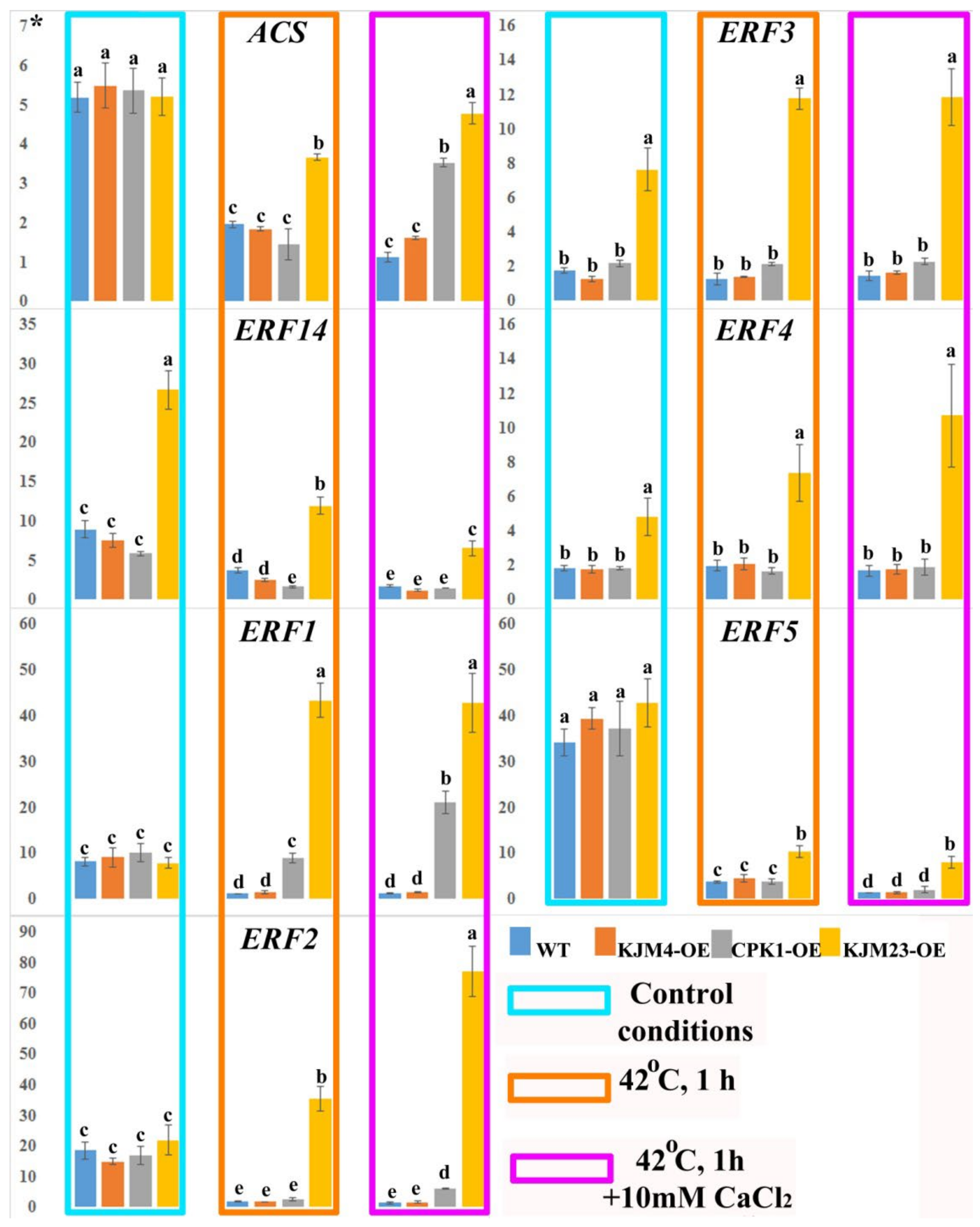 Plants 14 01032 g008
