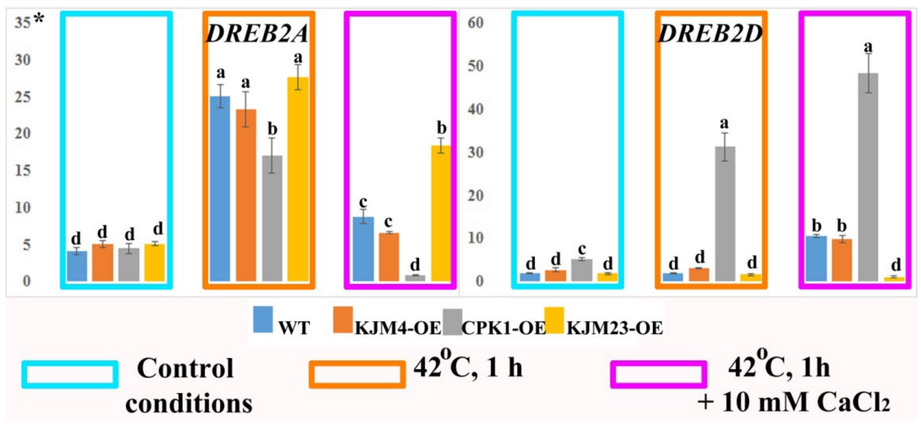 Plants 14 01032 g009