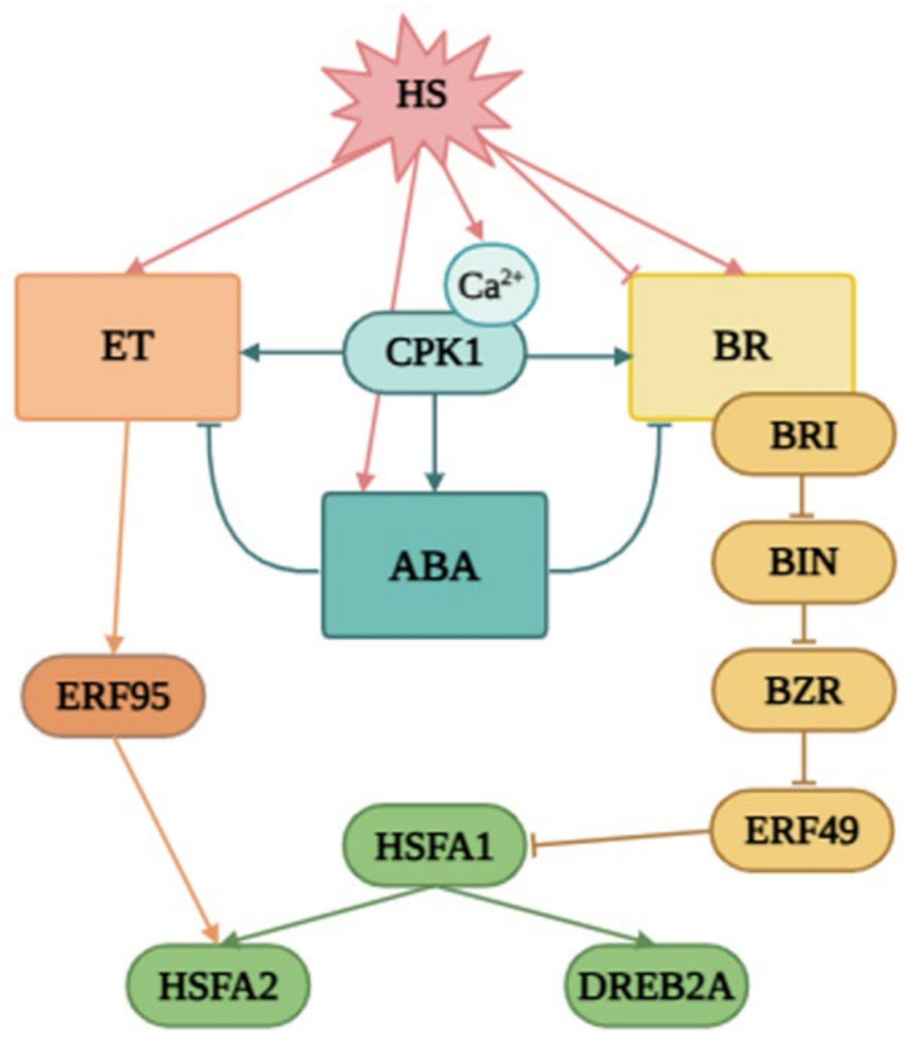 Plants 14 01032 g010