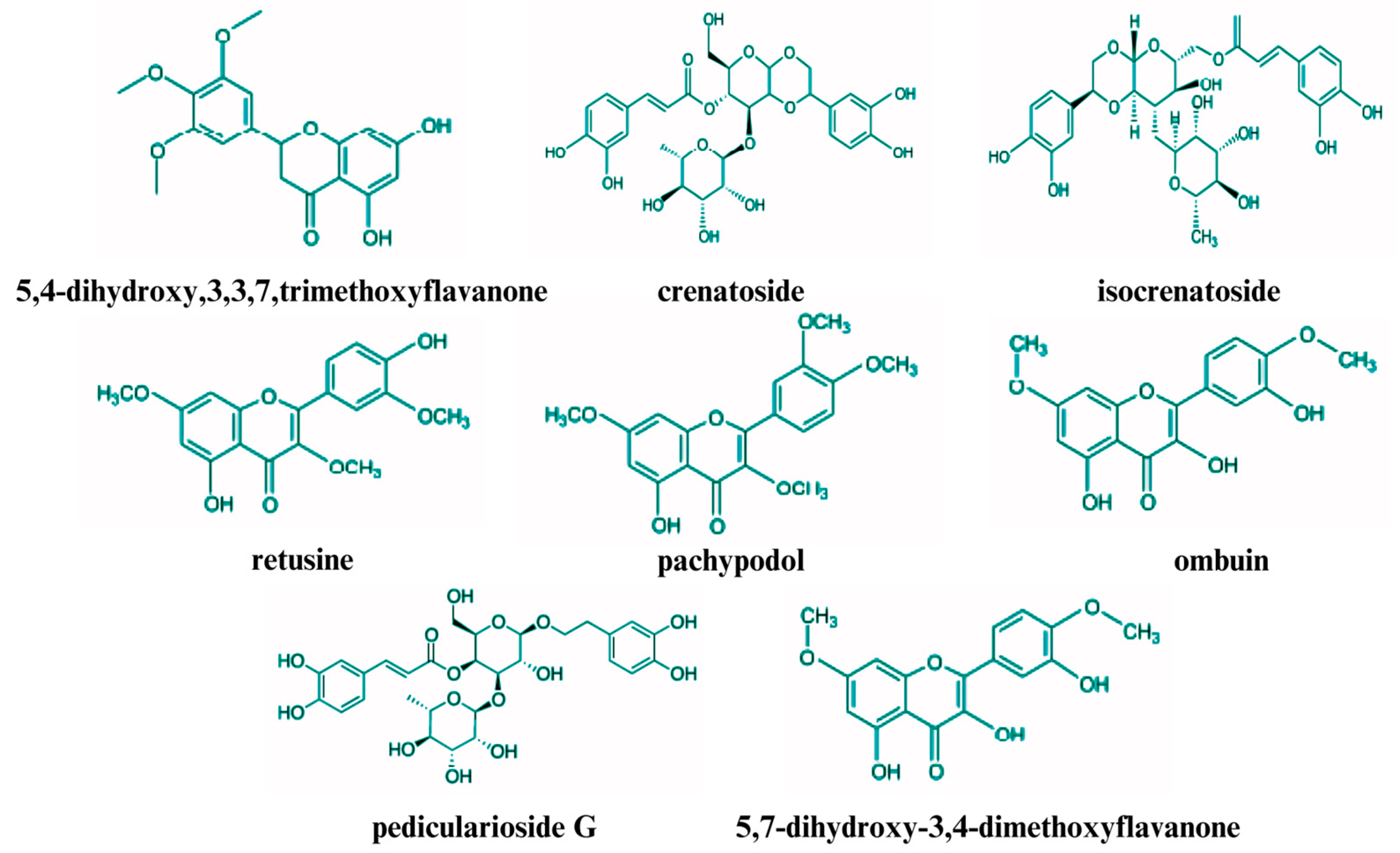 Plants 14 01034 g002 Plants 14 01034 g002