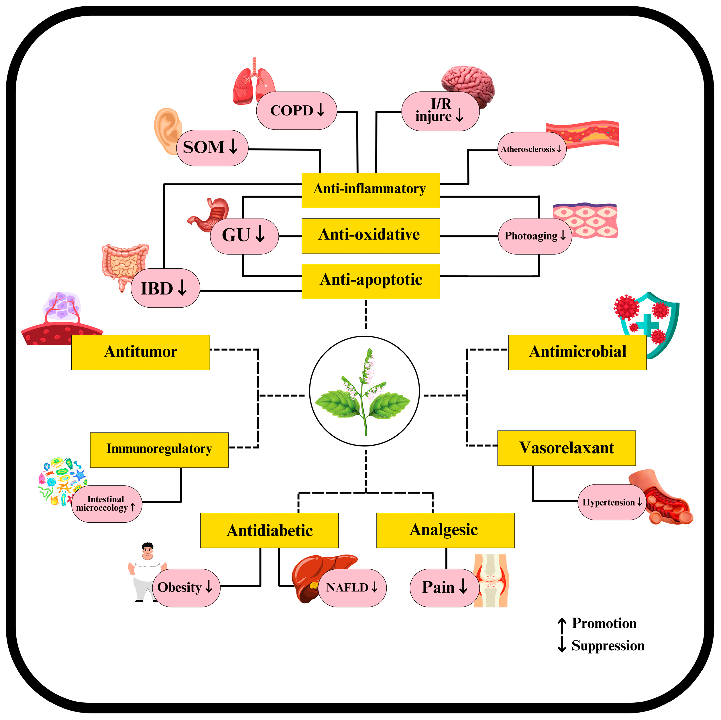 Plants 14 01034 g003 Plants 14 01034 g003