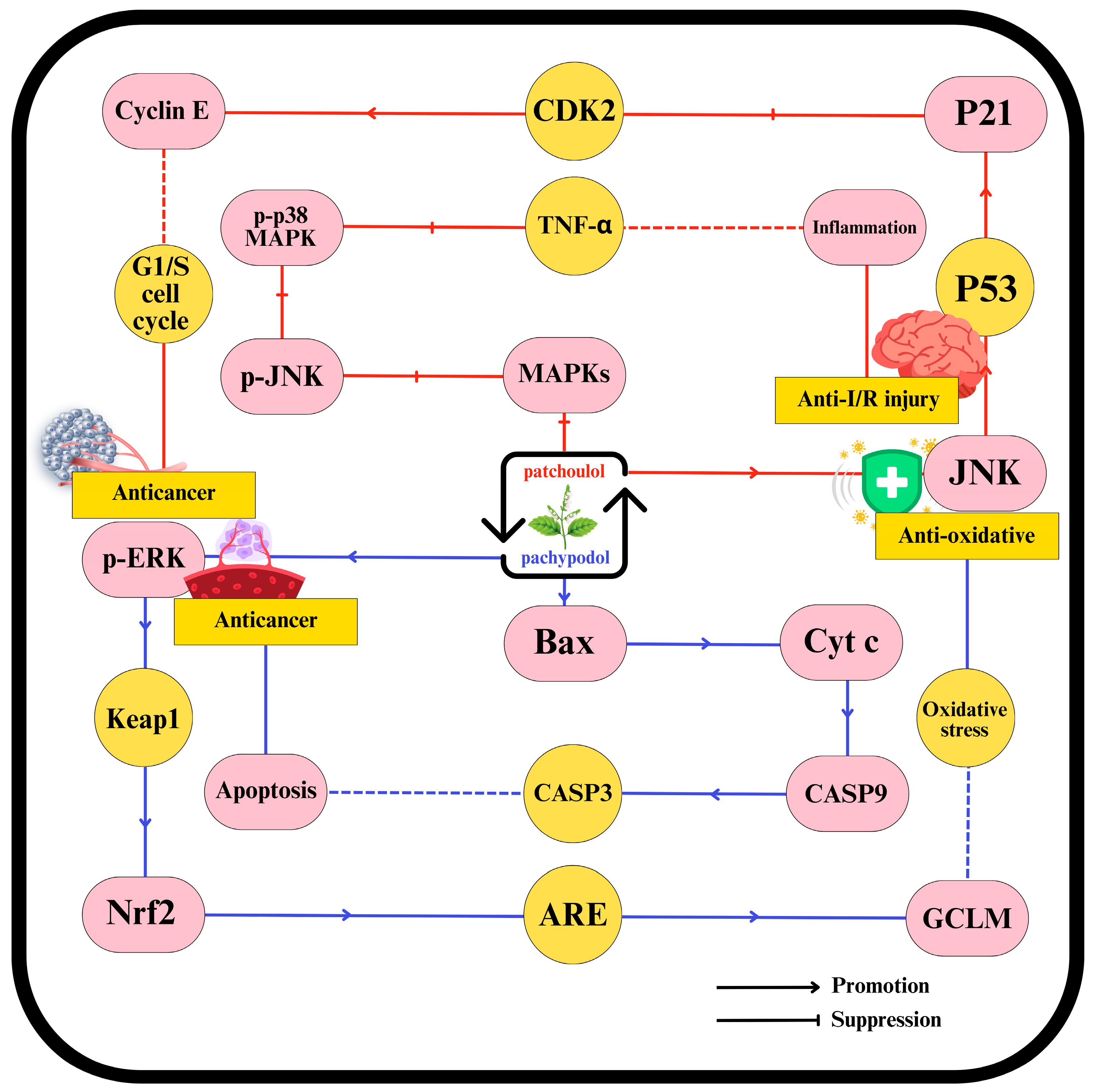 Plants 14 01034 g004 Plants 14 01034 g004