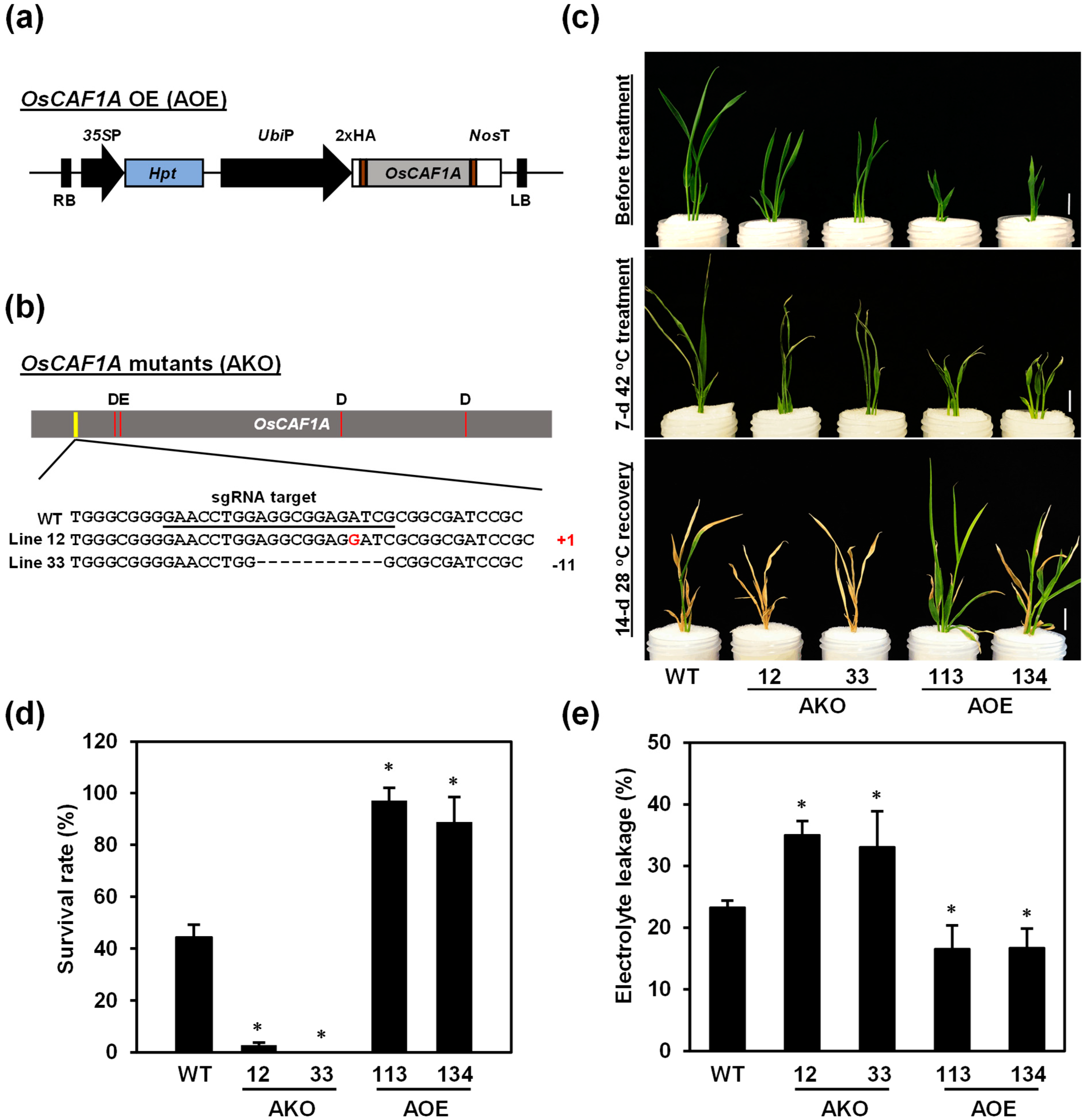 Plants 14 01036 g007