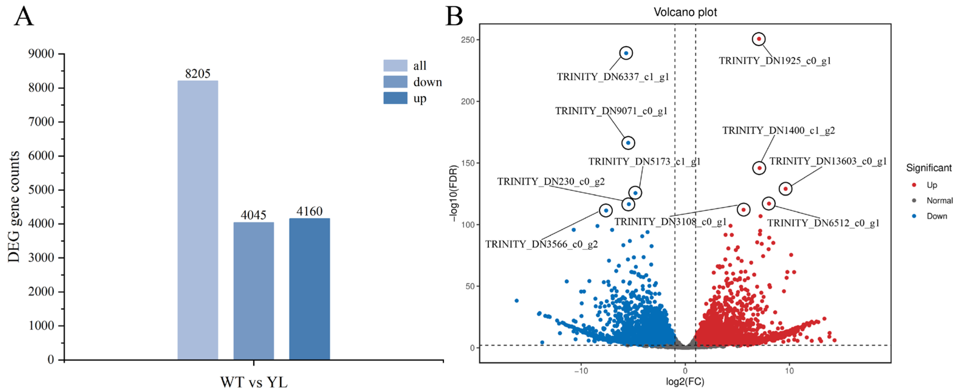 Plants 14 01037 g004