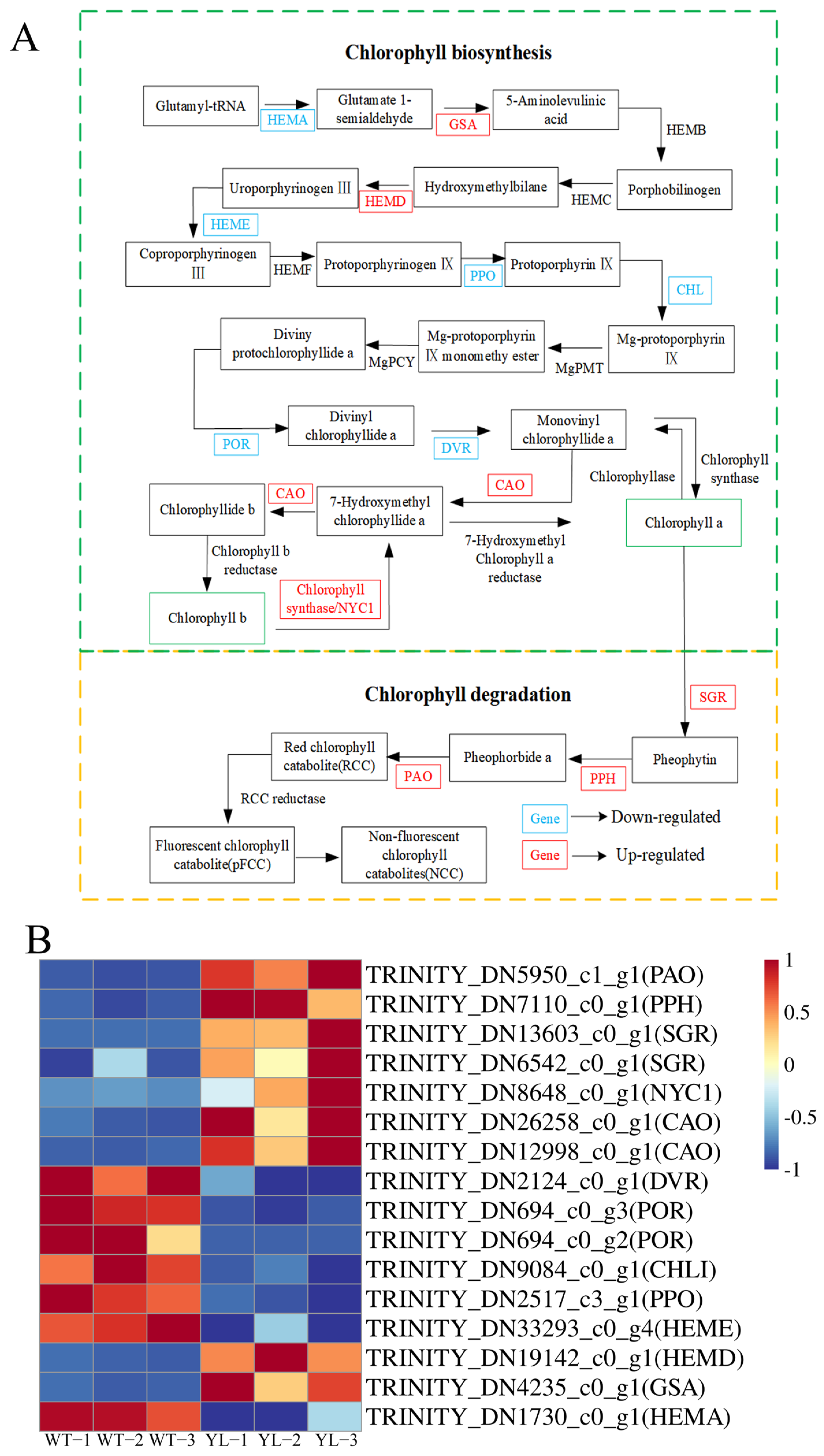Plants 14 01037 g007