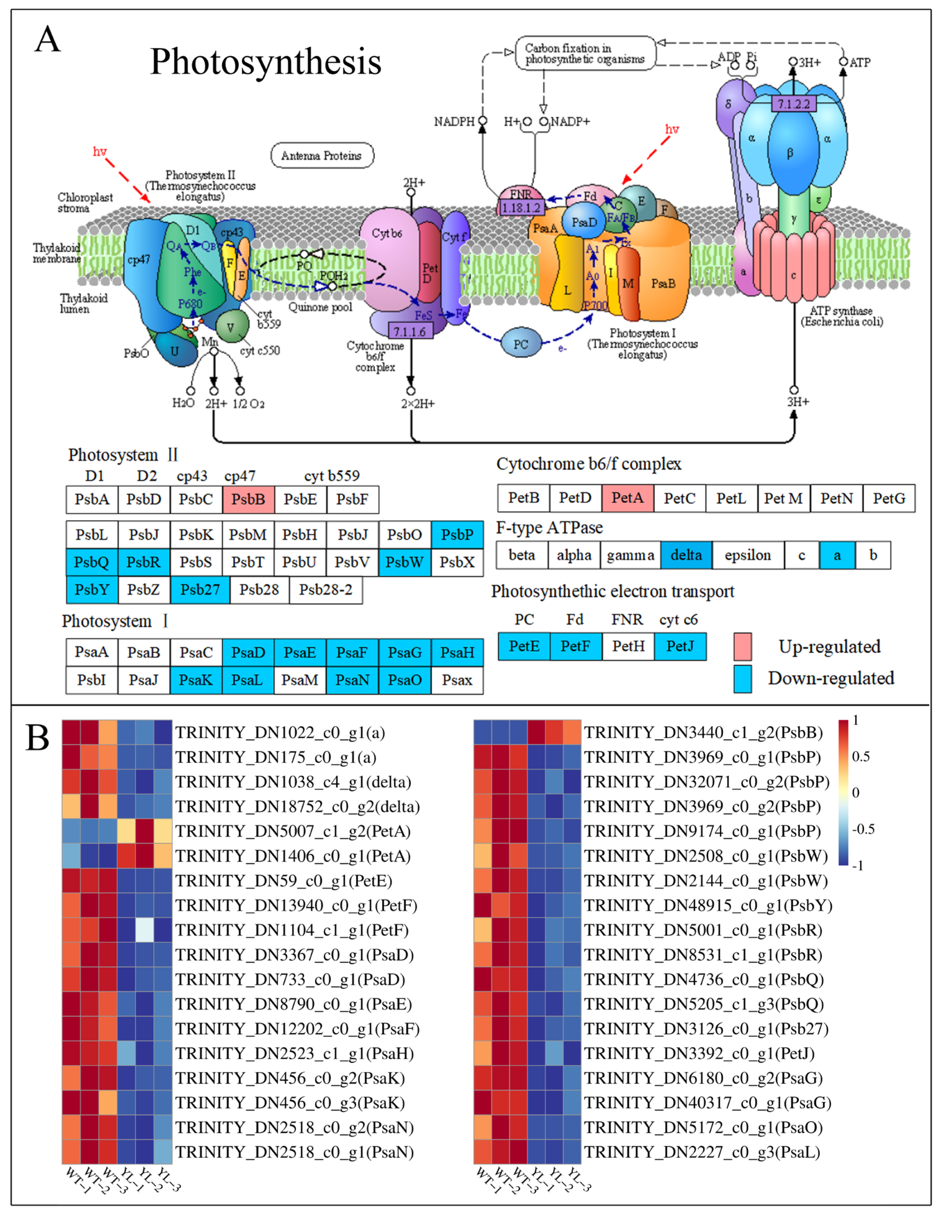 Plants 14 01037 g008