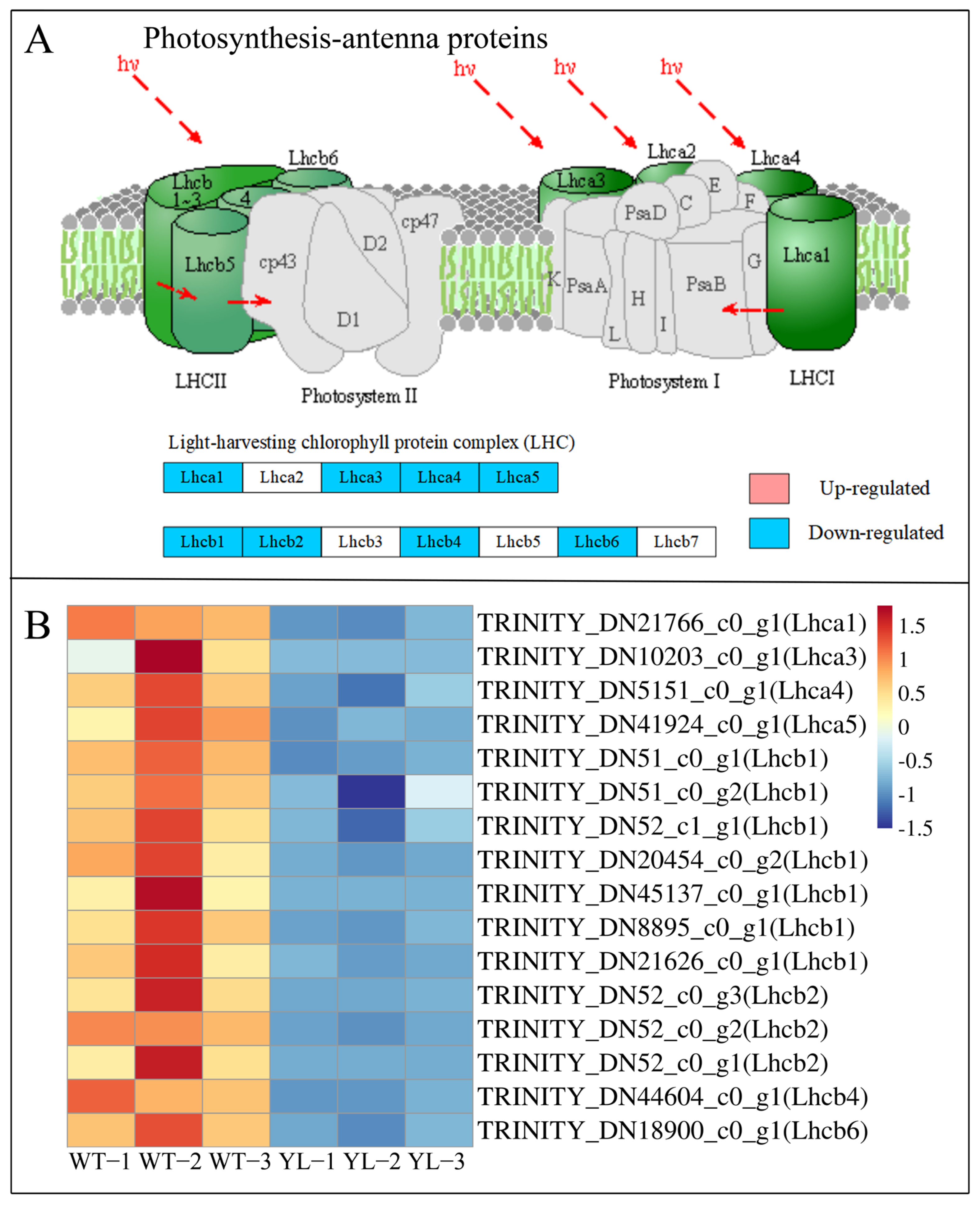Plants 14 01037 g009