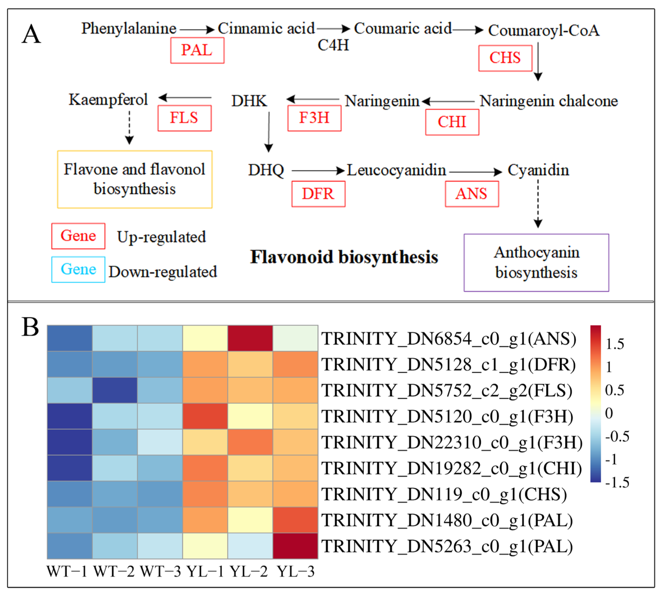 Plants 14 01037 g010
