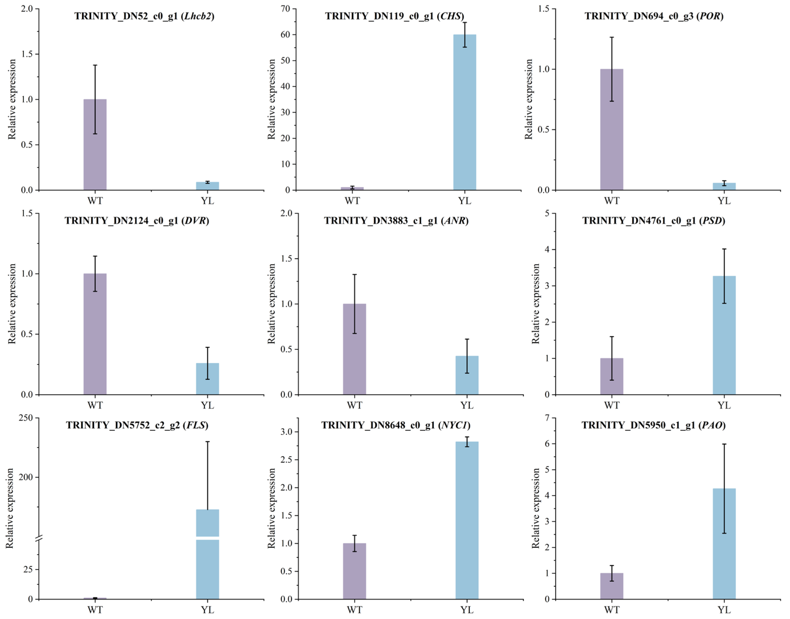 Plants 14 01037 g011