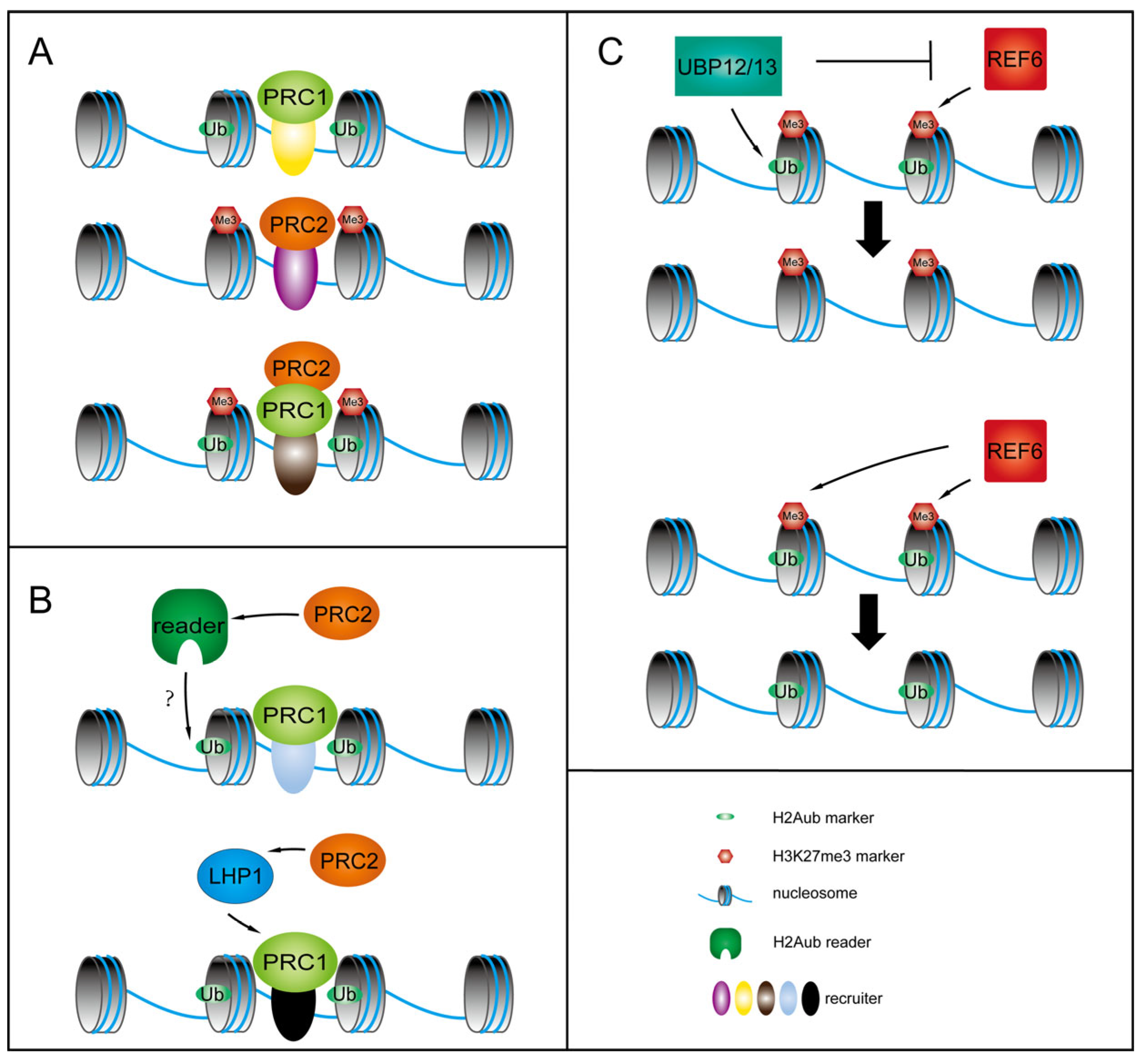 Plants 14 01038 g001 Plants 14 01038 g001