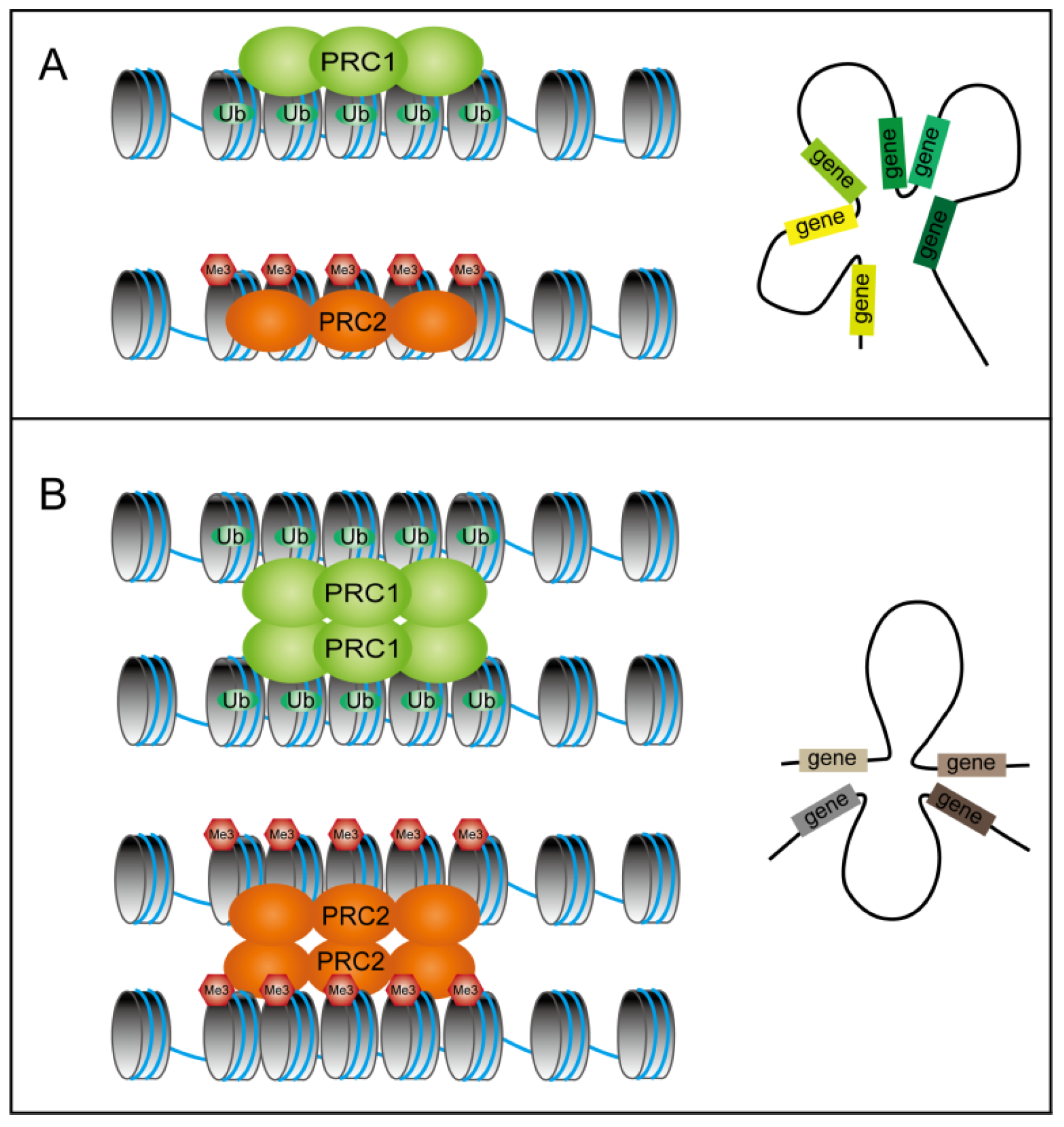 Plants 14 01038 g002 Plants 14 01038 g002