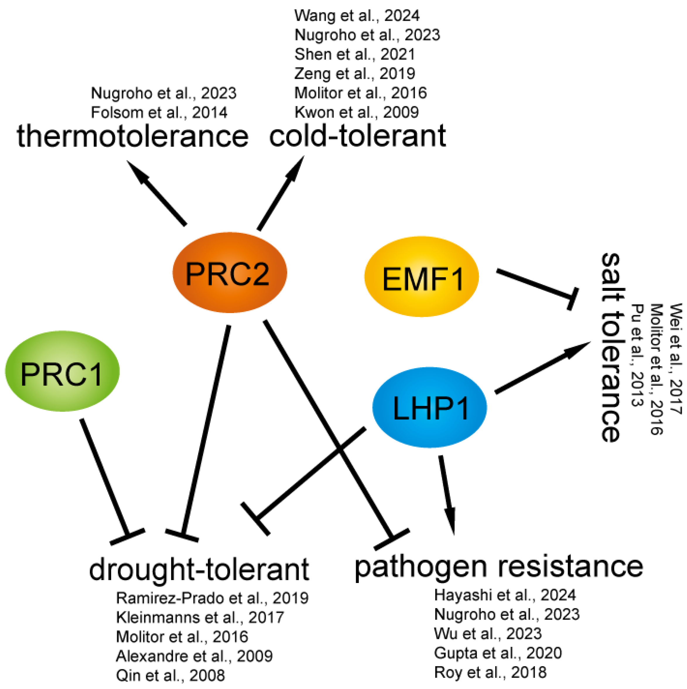 Plants 14 01038 g003 Plants 14 01038 g003