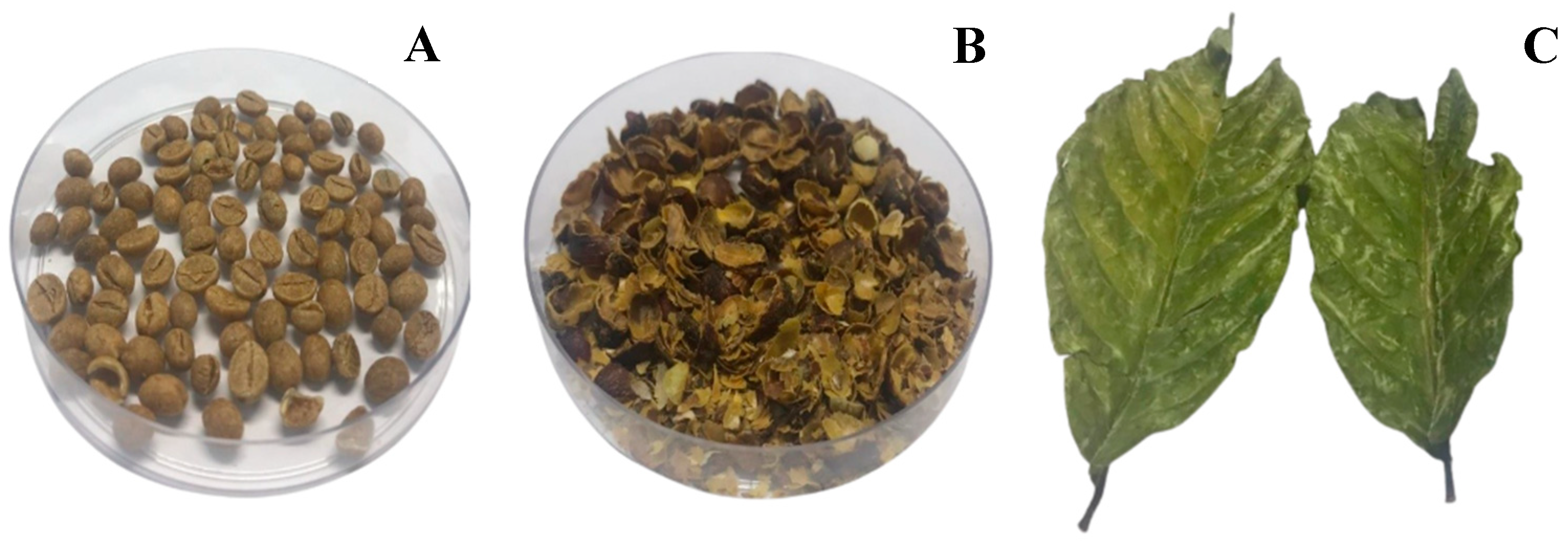 Plants 14 01040 g002 Plants 14 01040 g002