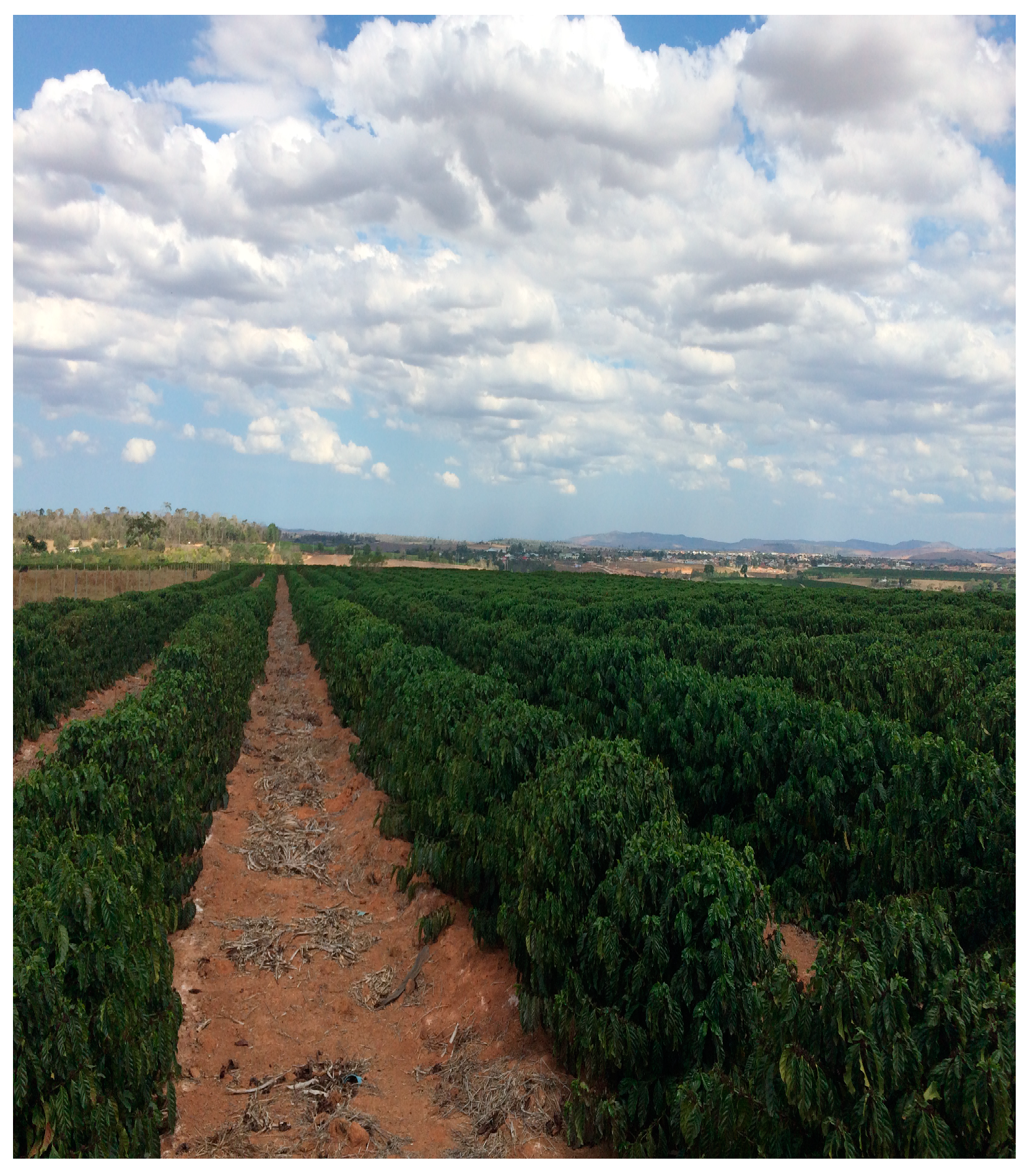 Plants 14 01040 g003 Plants 14 01040 g003