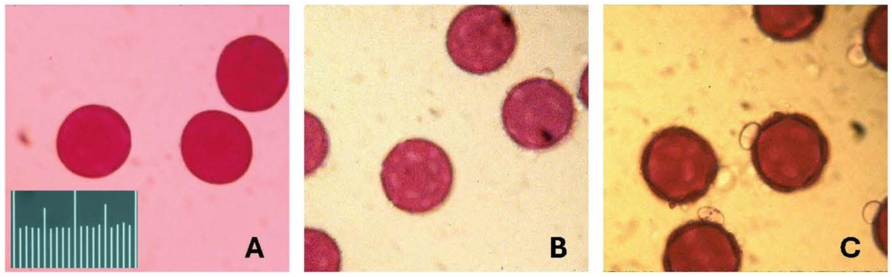 Plants 14 01041 g001 Plants 14 01041 g001