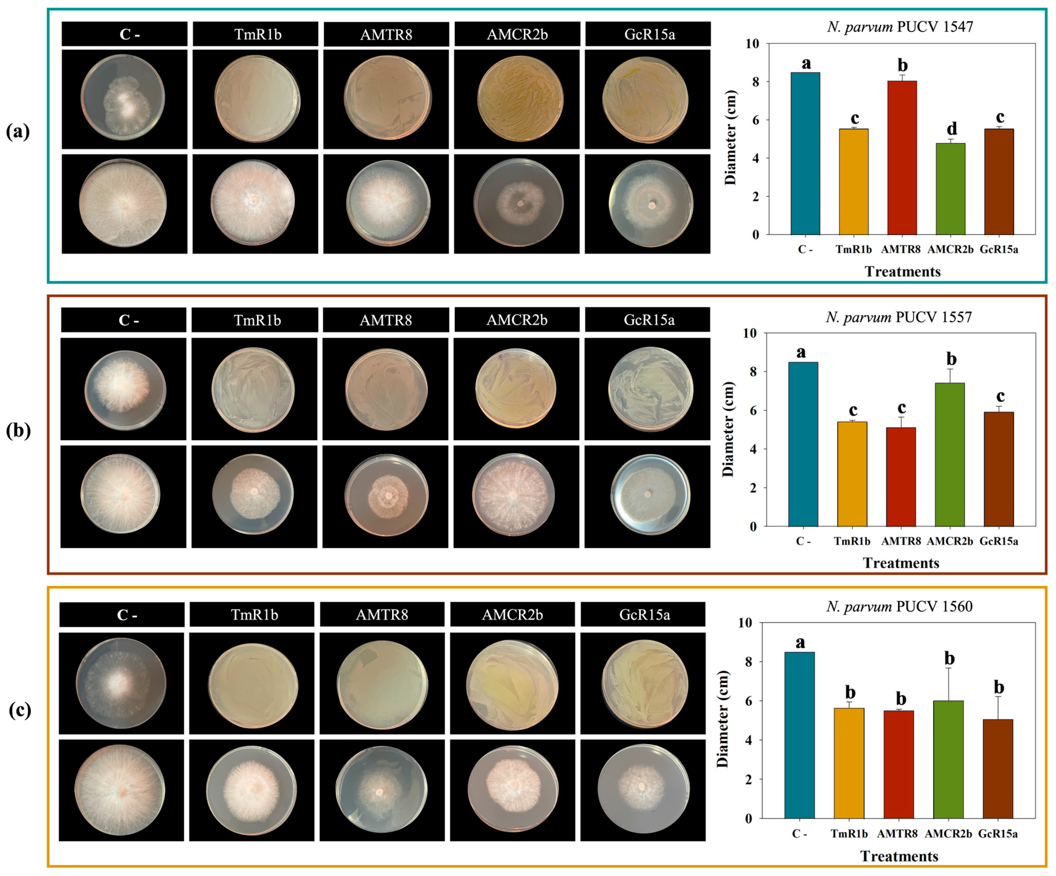 Plants 14 01043 g002