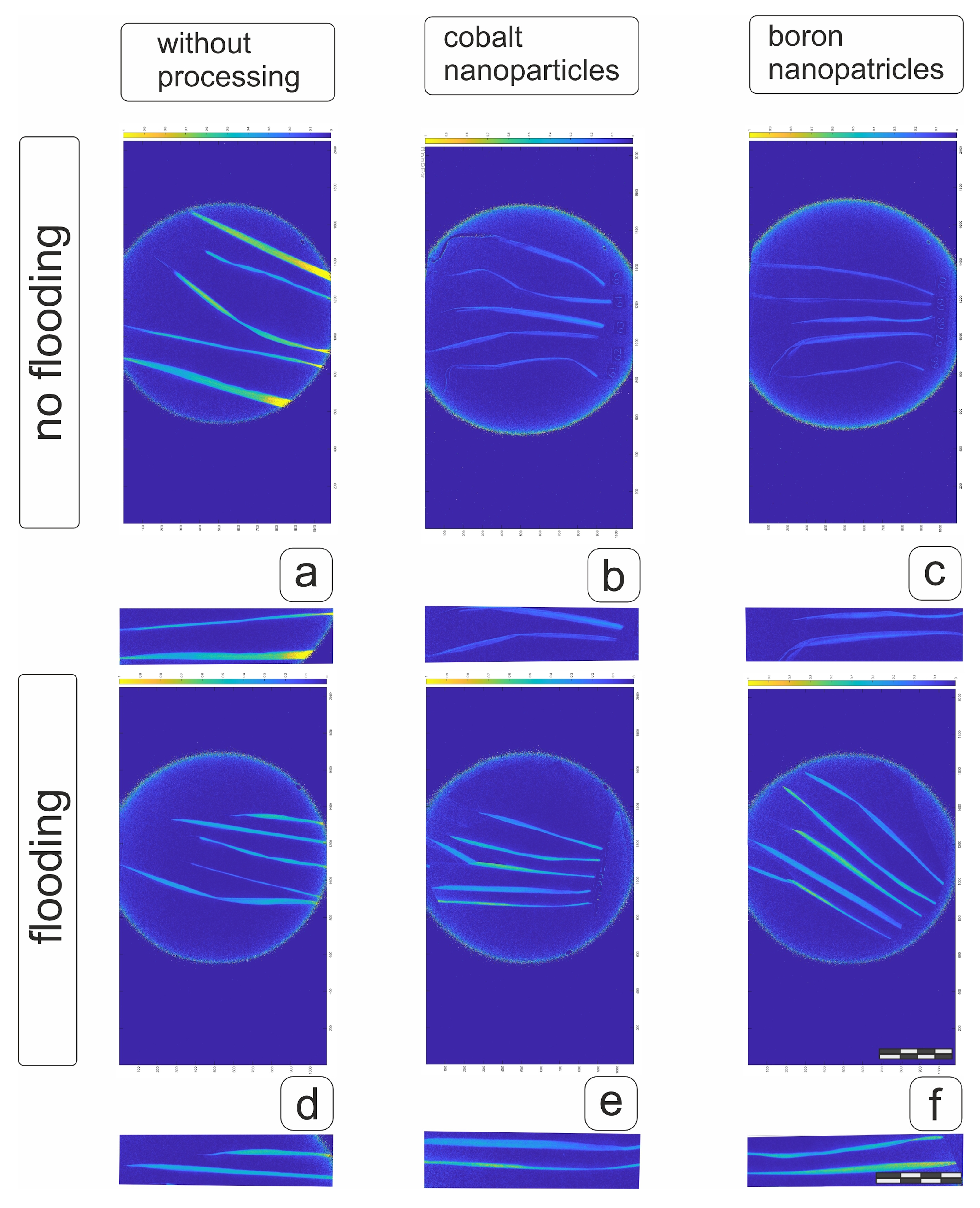 Plants 14 01044 g010