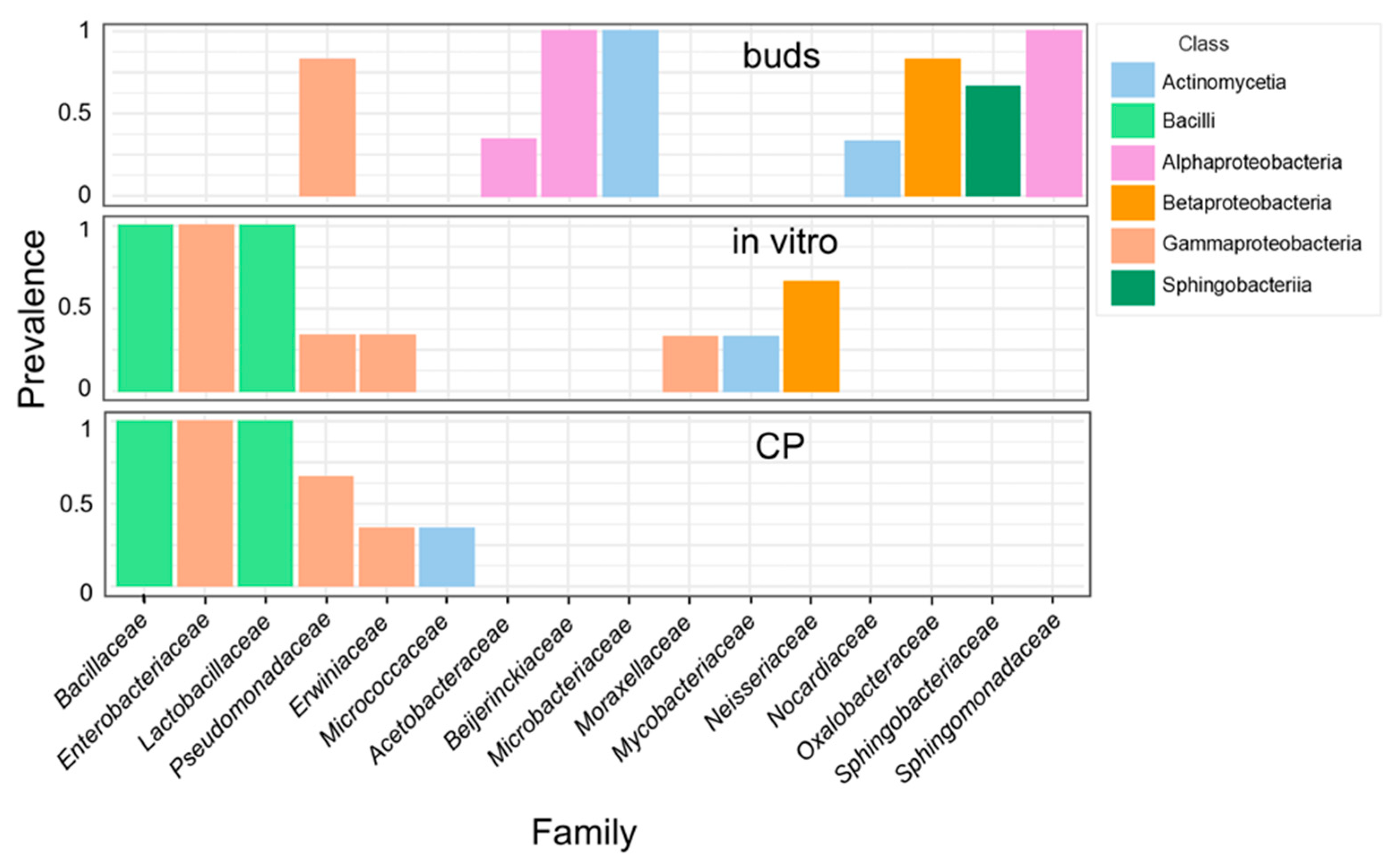 Plants 14 01045 g003