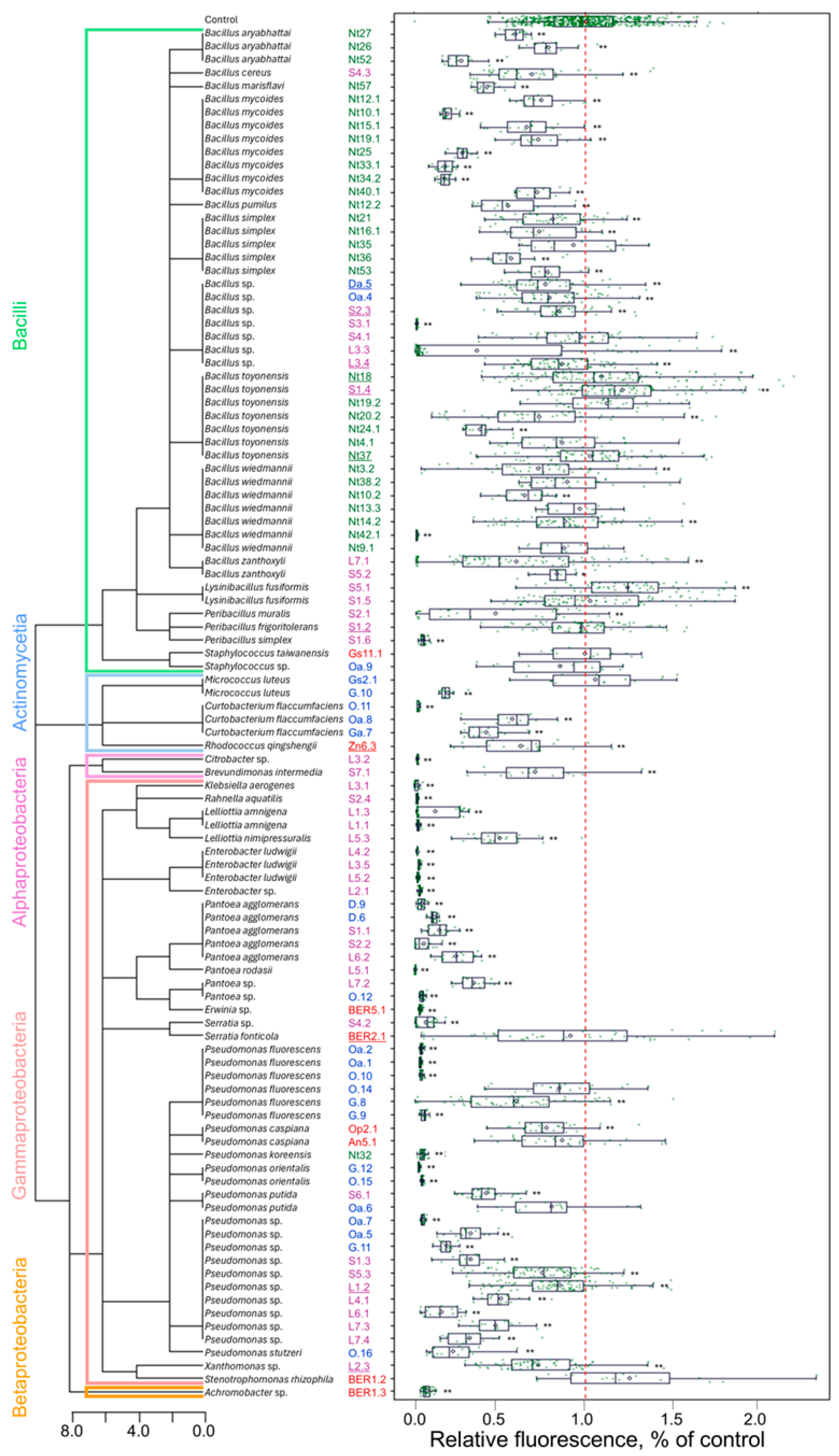 Plants 14 01045 g004