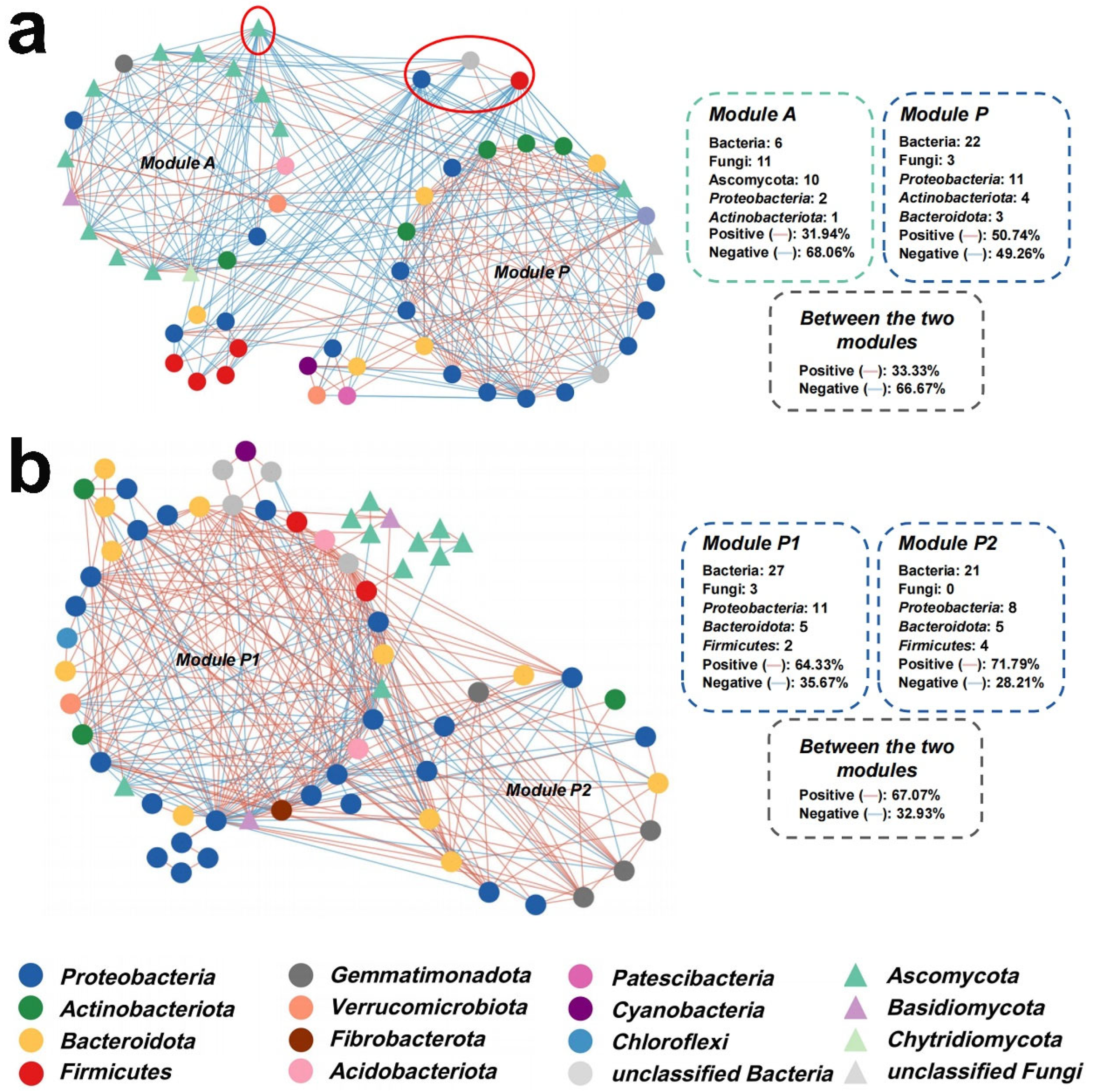 Plants 14 01046 g003