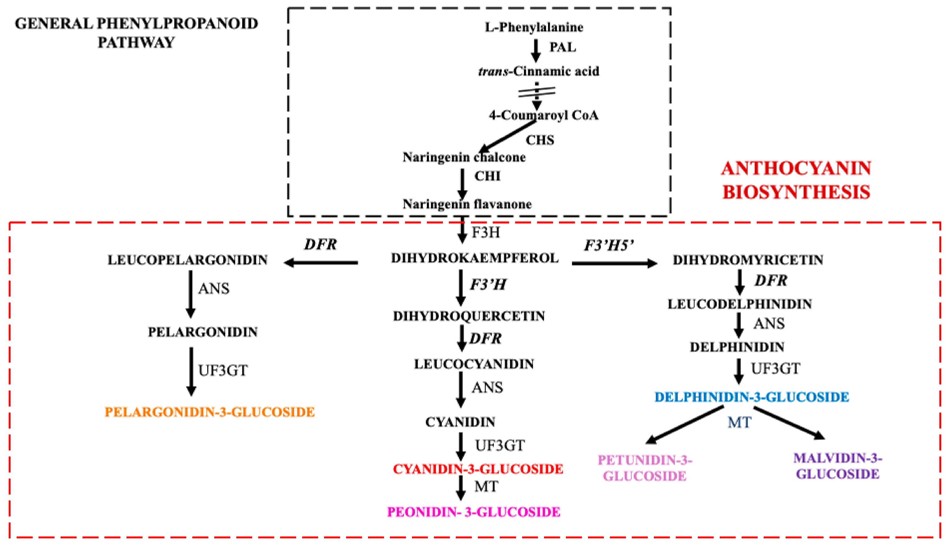 Plants 14 01050 g001 Plants 14 01050 g001