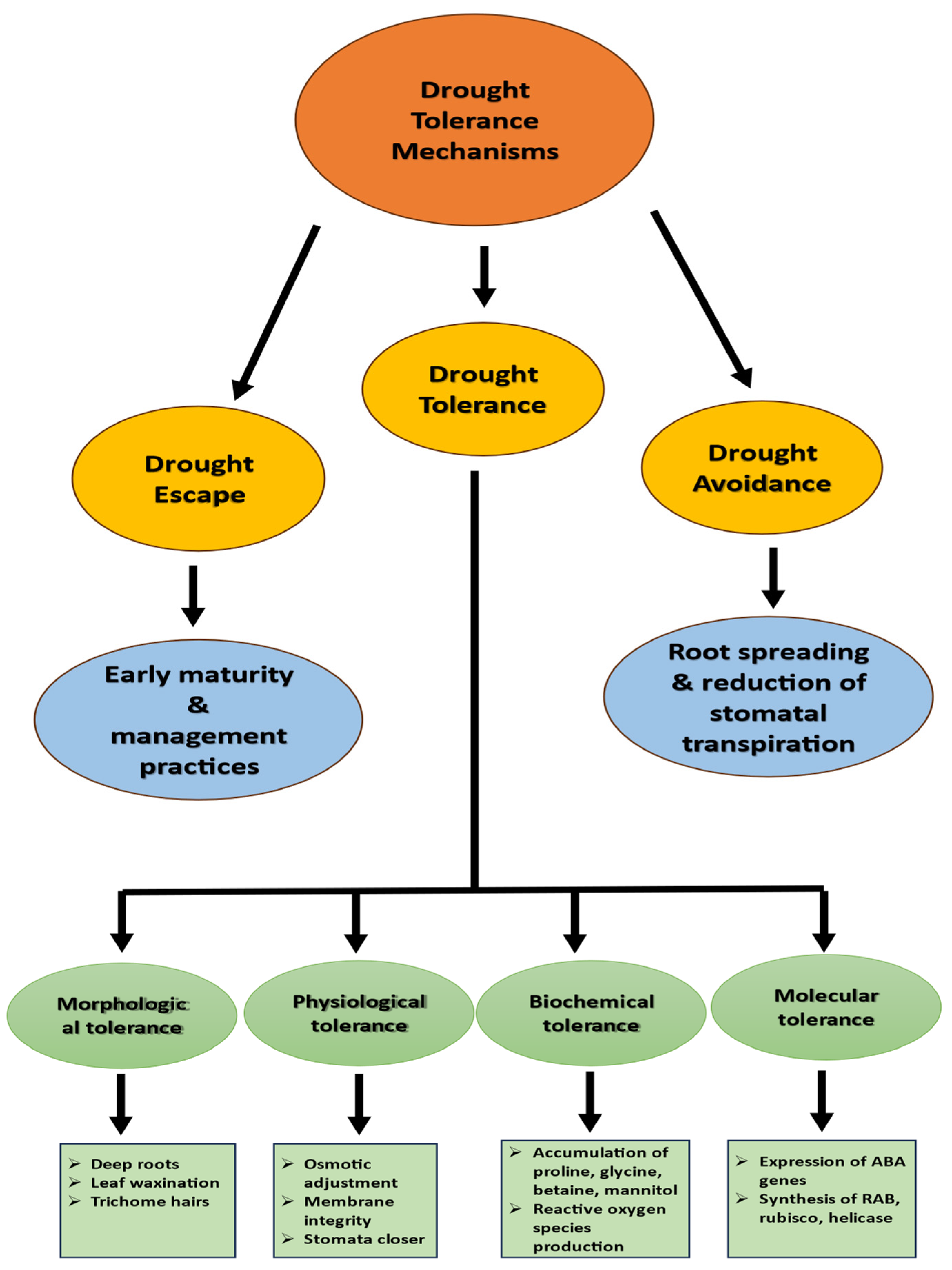 Plants 14 01053 g001