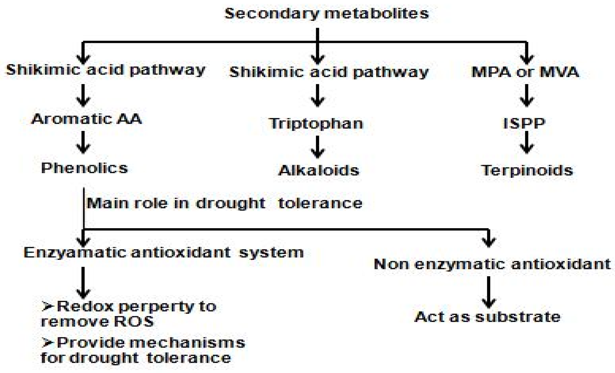 Plants 14 01053 g007