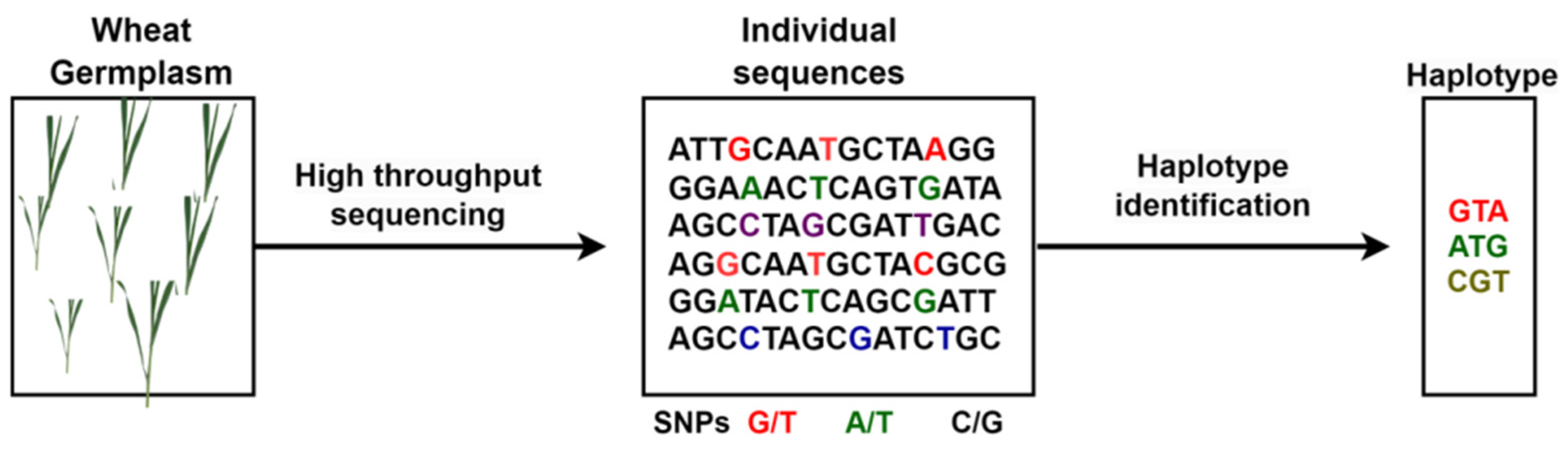 Plants 14 01053 g008