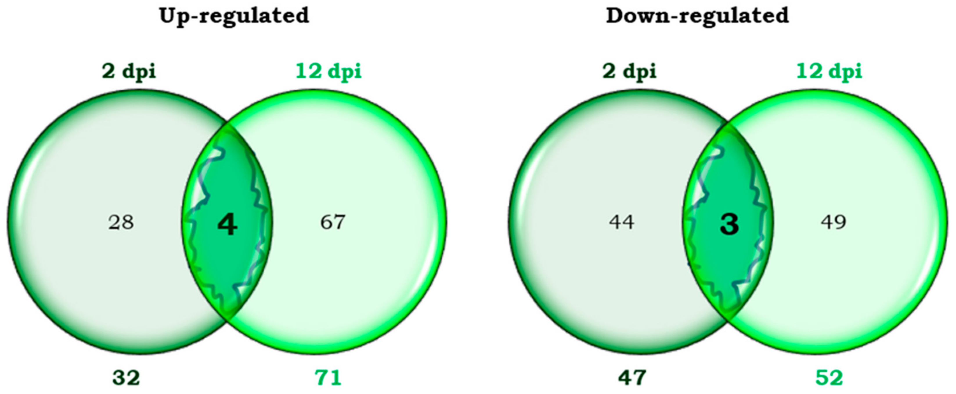 Plants 14 01054 g001 Plants 14 01054 g001