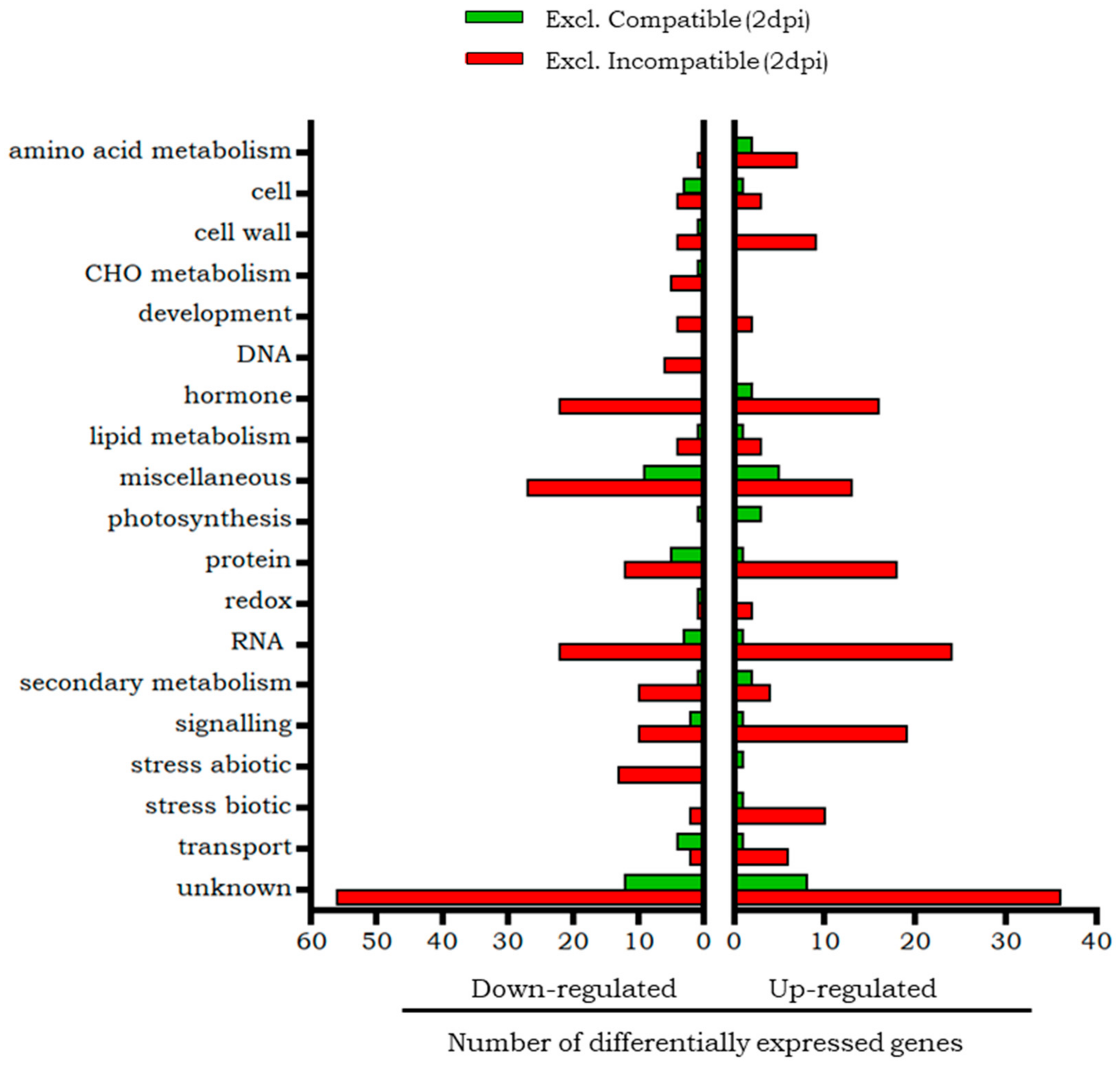 Plants 14 01054 g006 Plants 14 01054 g006