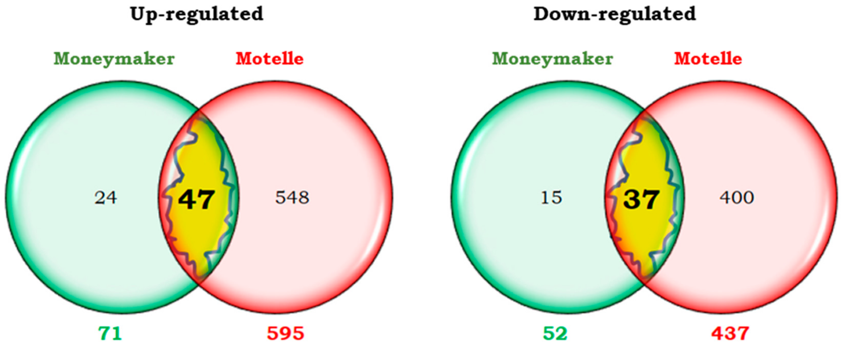 Plants 14 01054 g007 Plants 14 01054 g007